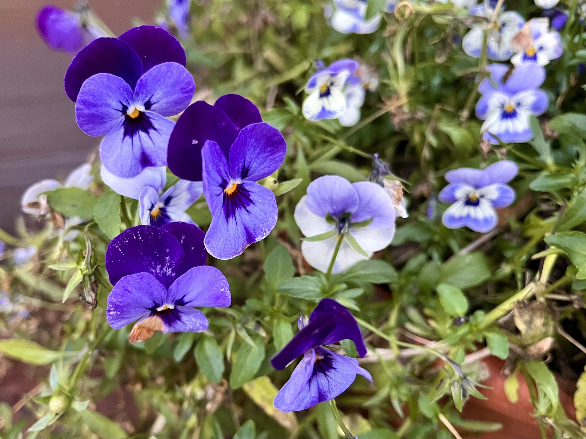 Valokuvaaja: Tuukka Pahtamaa