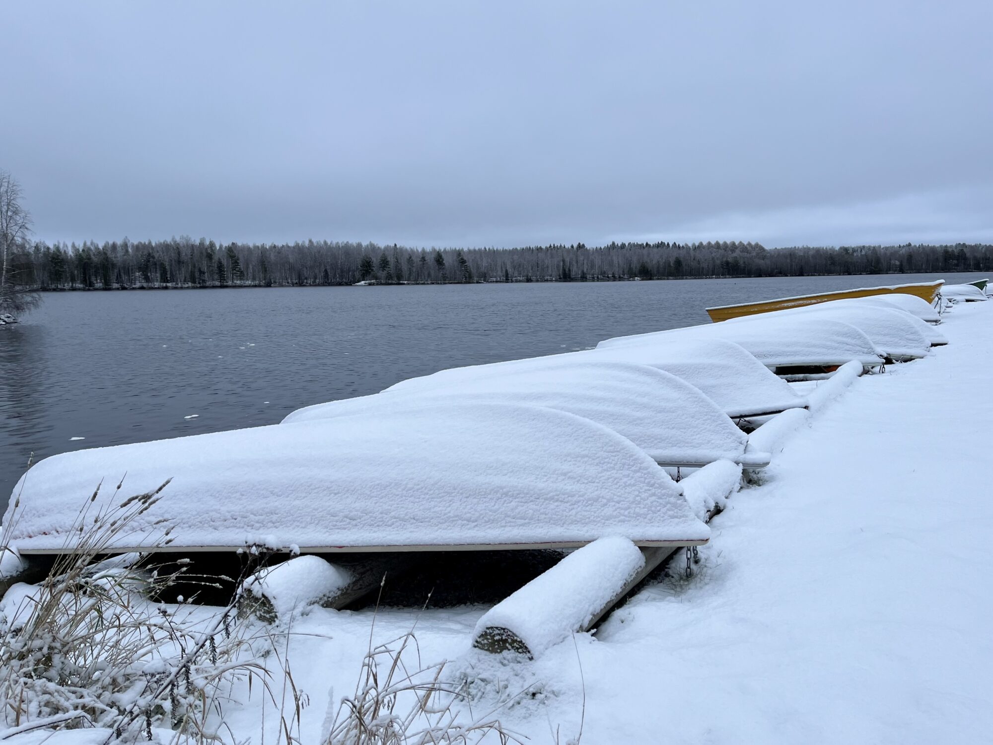 Valokuvaaja: Tuukka Pahtamaa