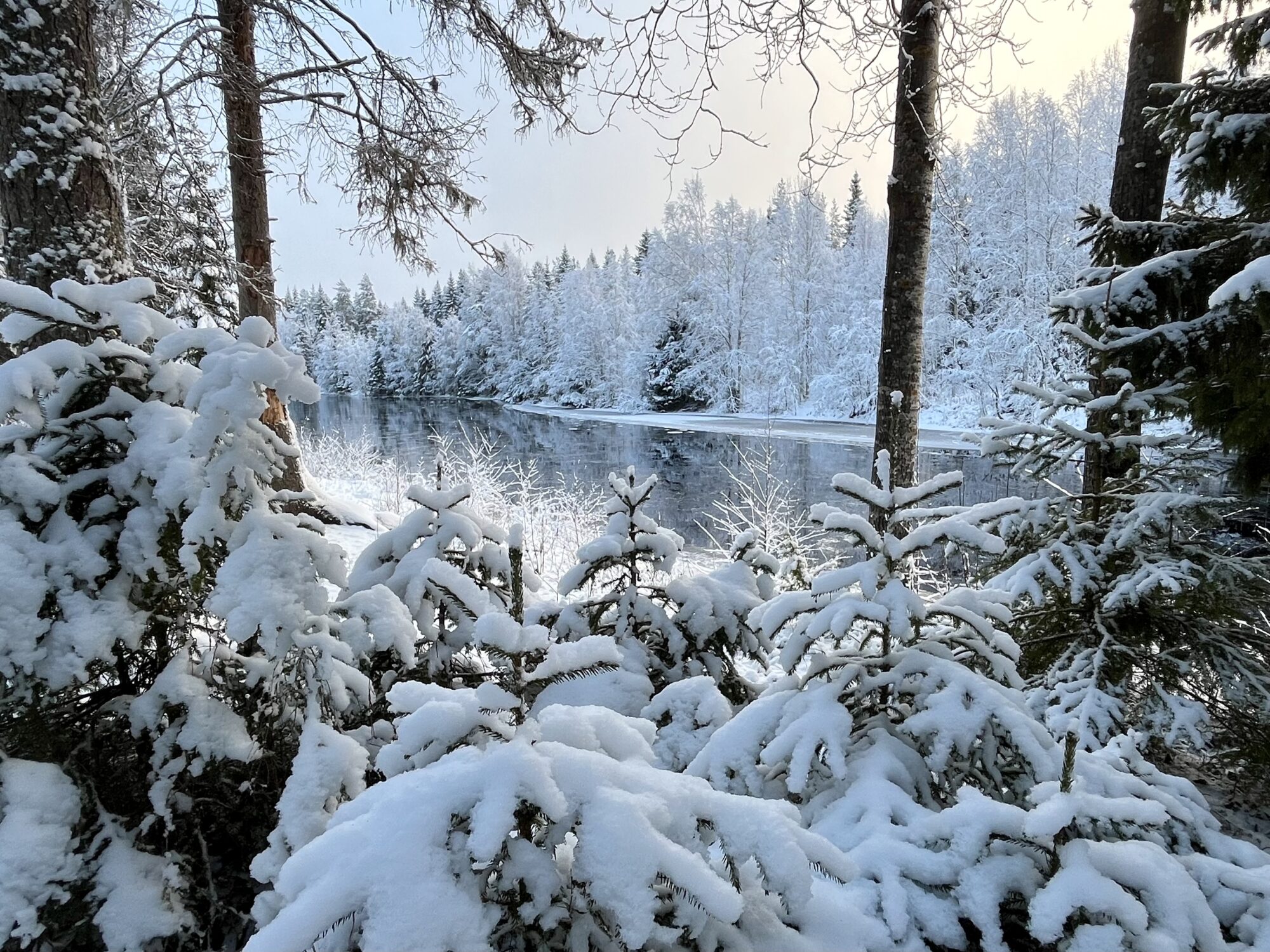 Valokuvaaja: Tuukka Pahtamaa