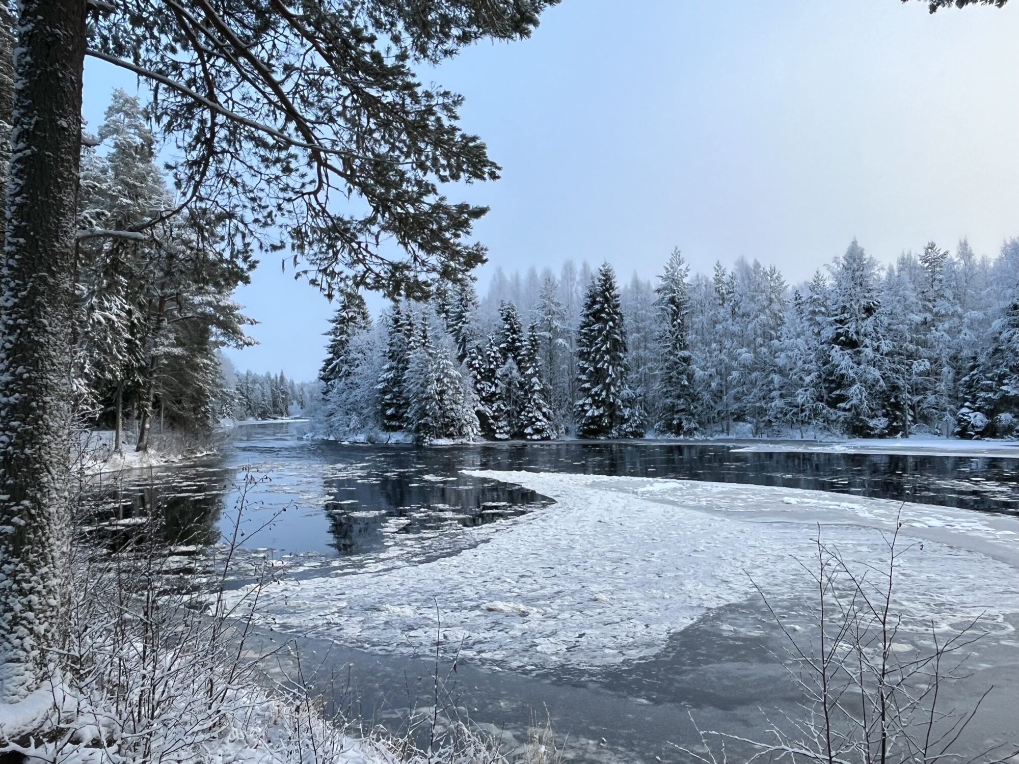 Valokuvaaja: Tuukka Pahtamaa