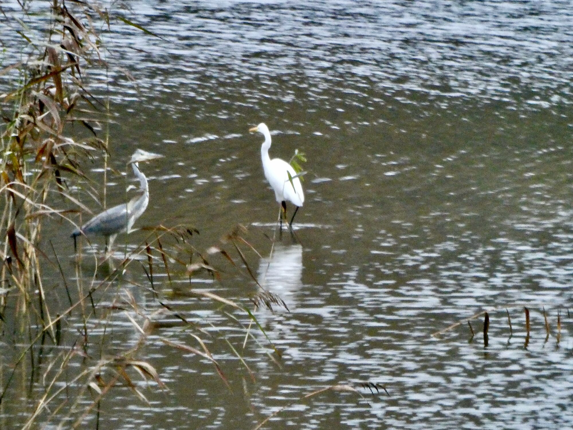 Valokuvaaja: Liisa Niiva-Korpela