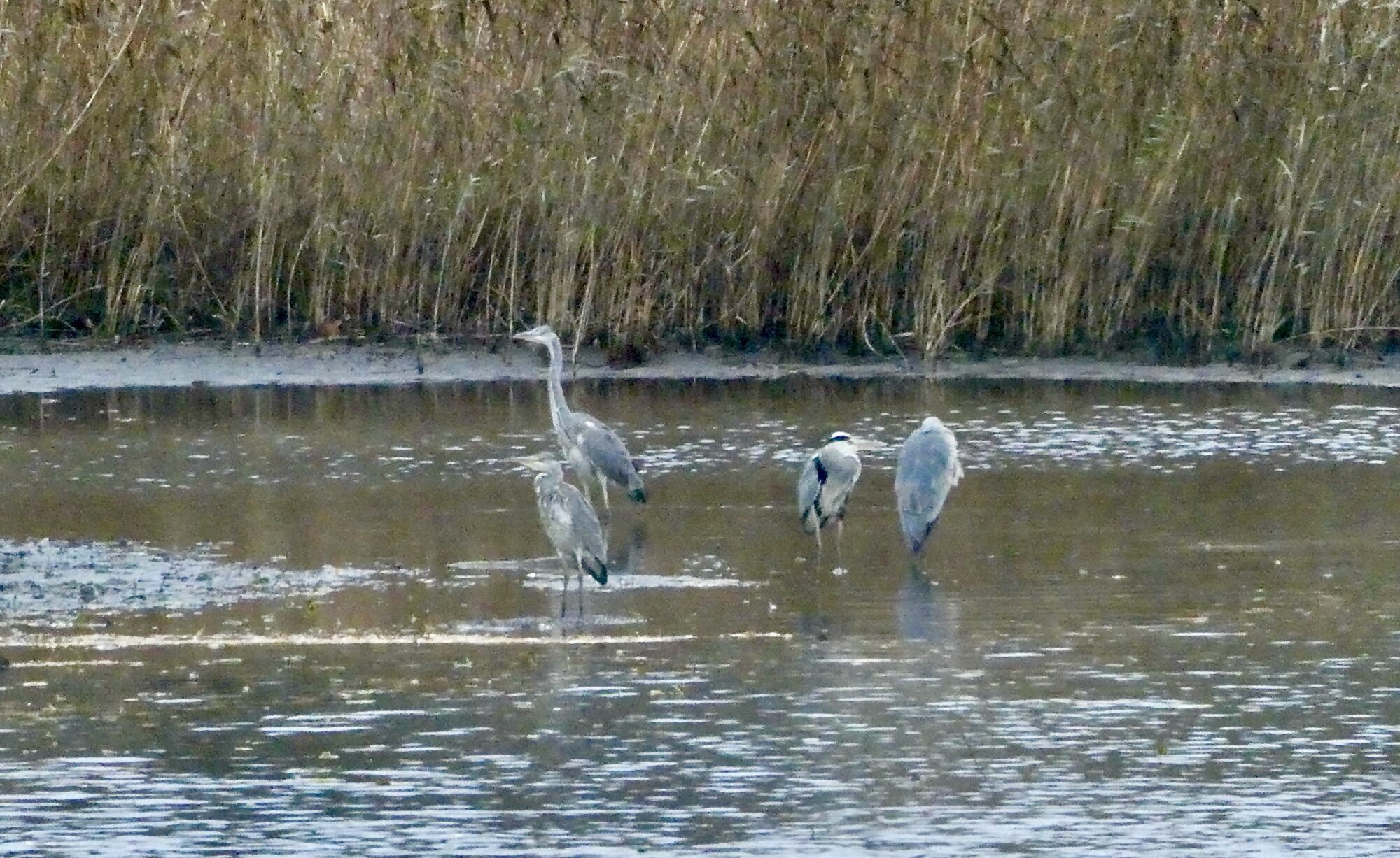 Valokuvaaja: Liisa Niiva-Korpela