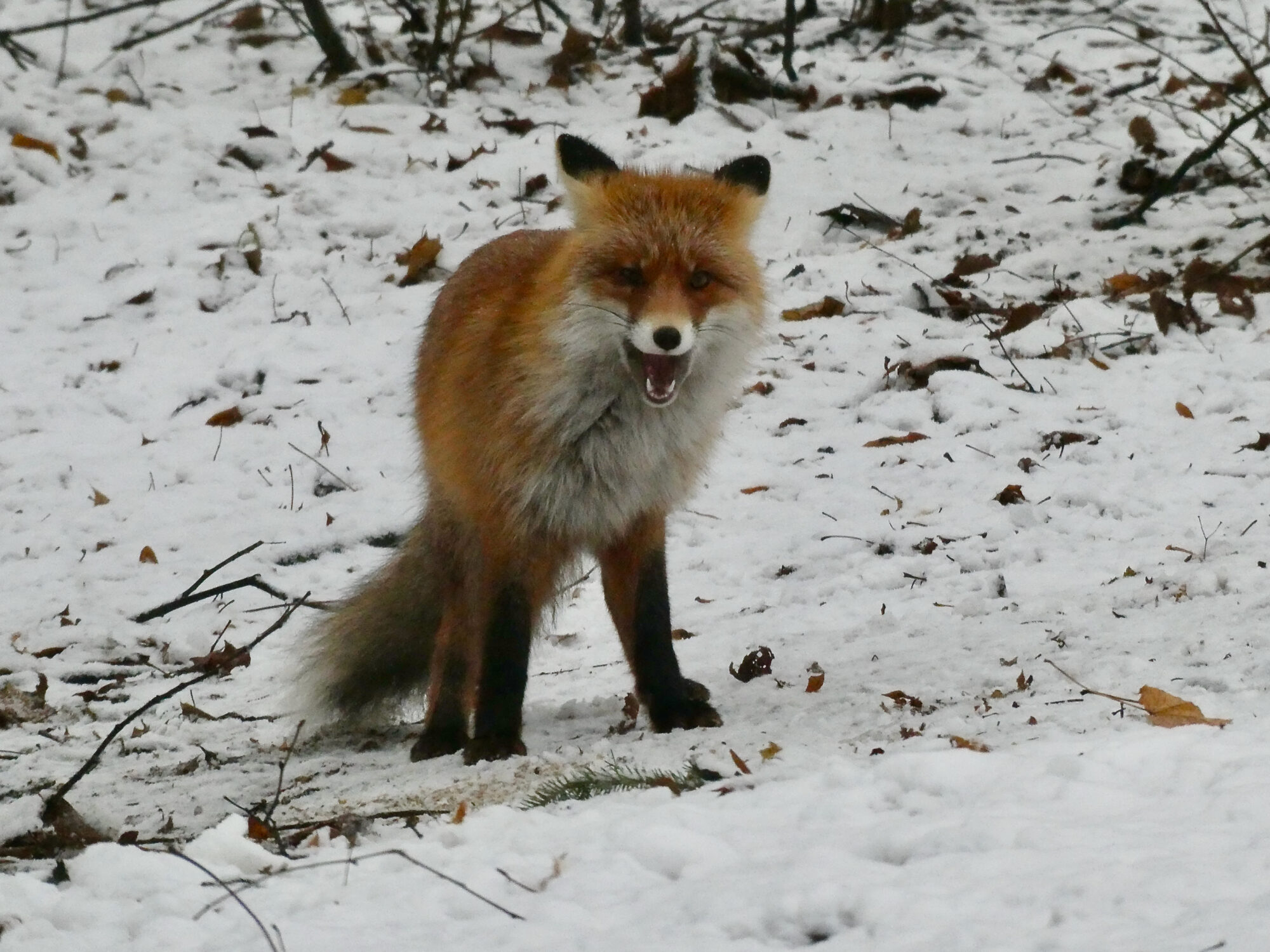 Valokuvaaja: Liisa Niiva-Korpela