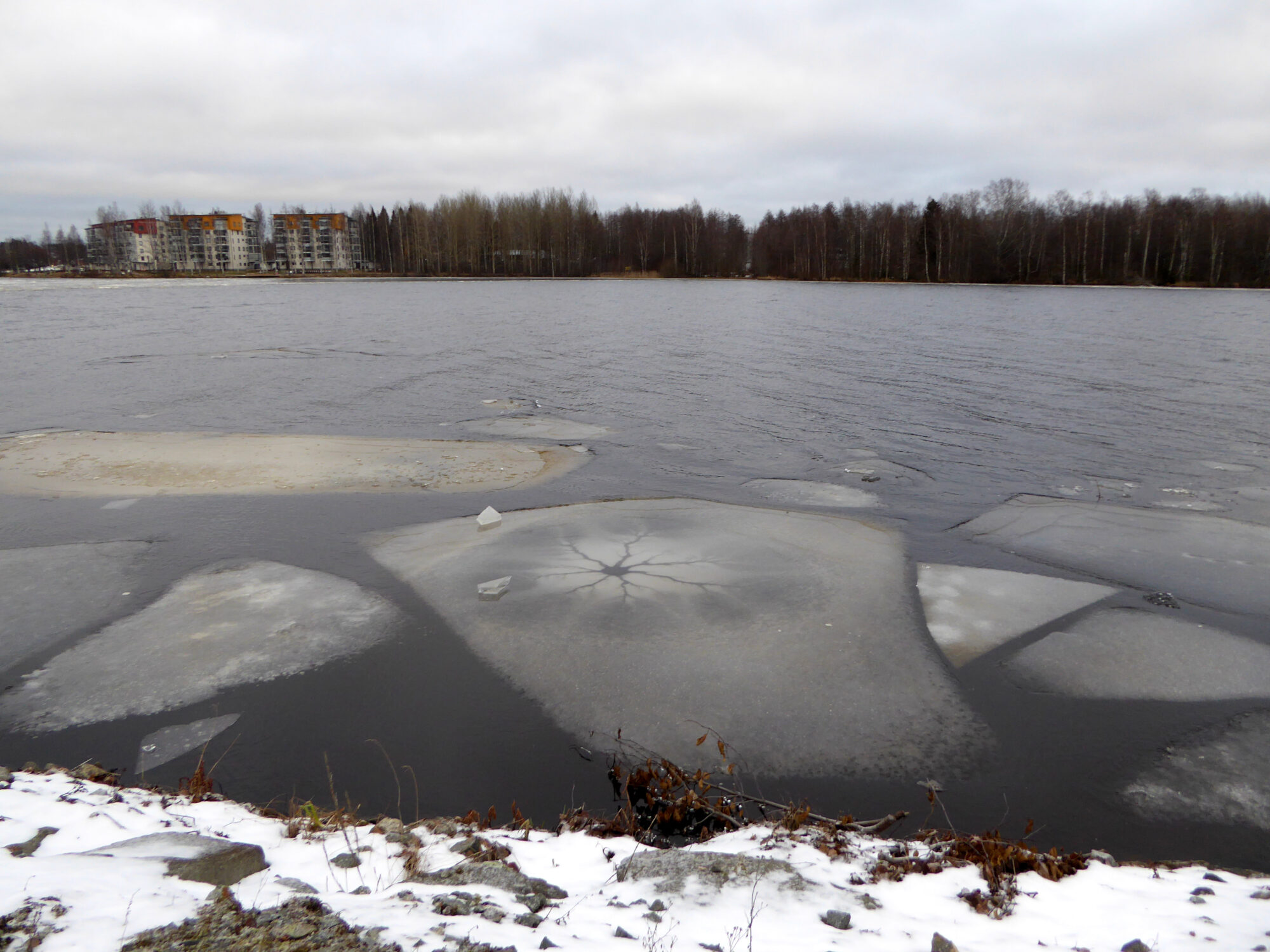 Valokuvaaja: Toni Asikainen