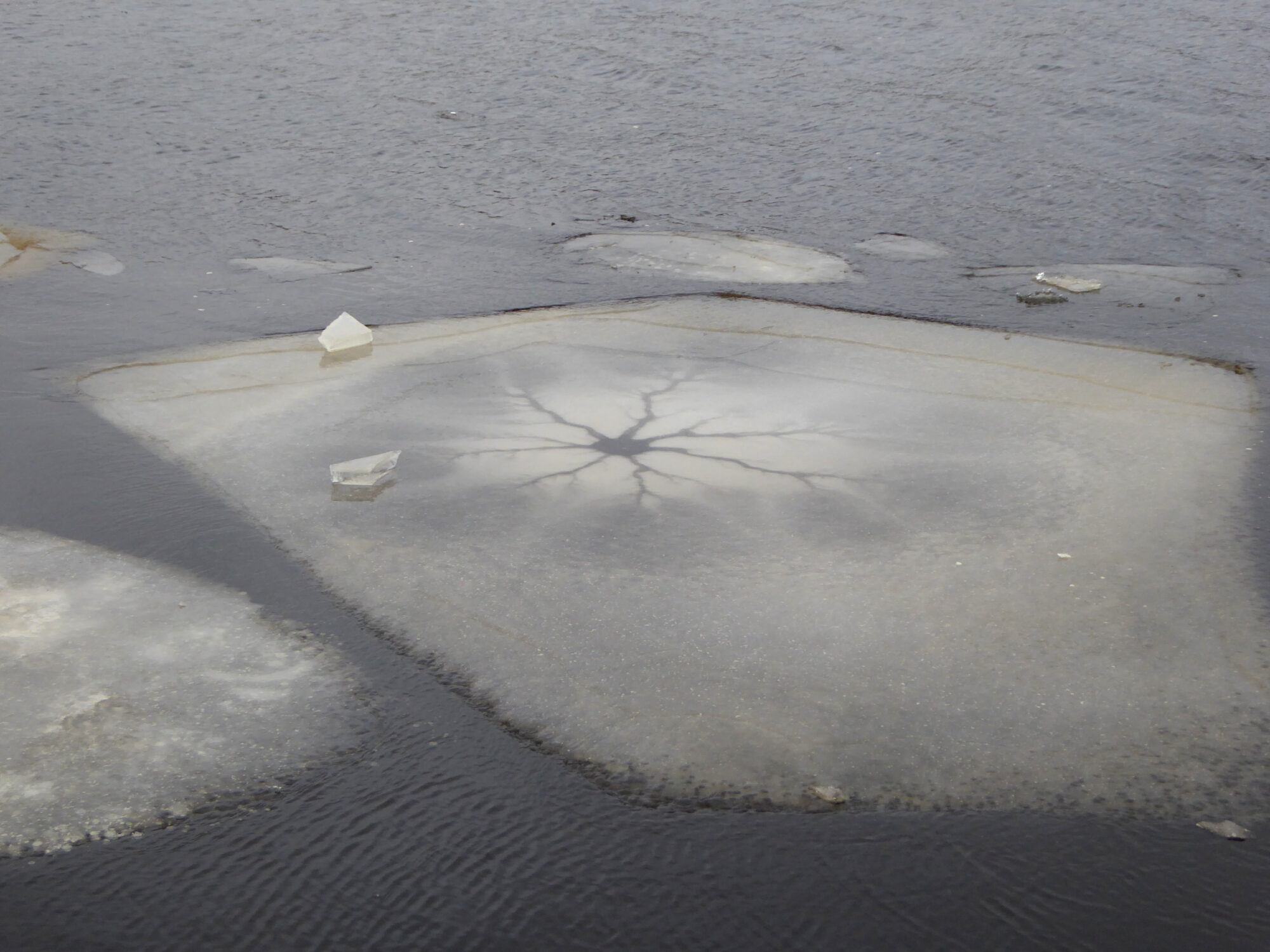 Valokuvaaja: Toni Asikainen