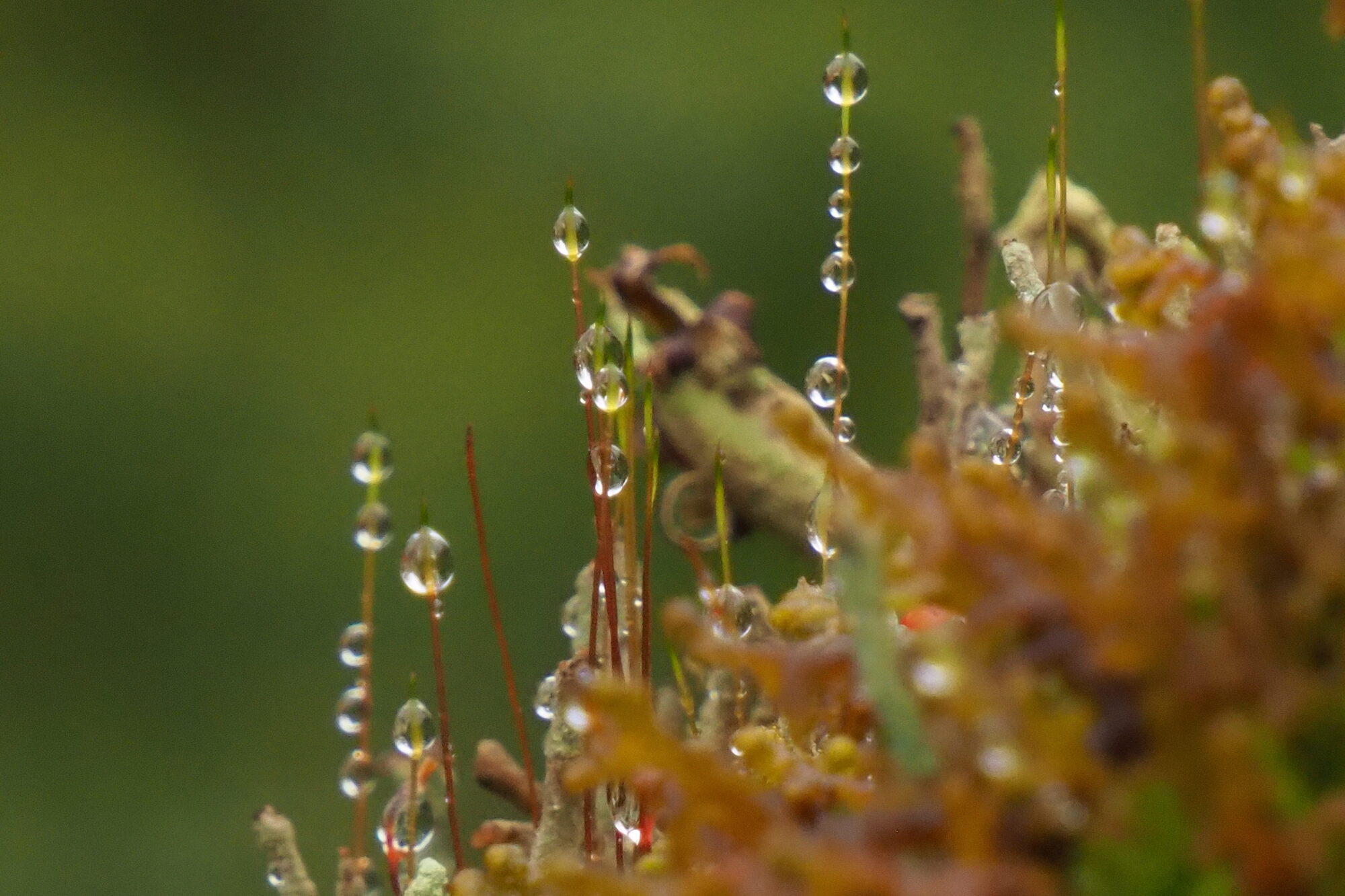 Valokuvaaja: Martti Valtonen