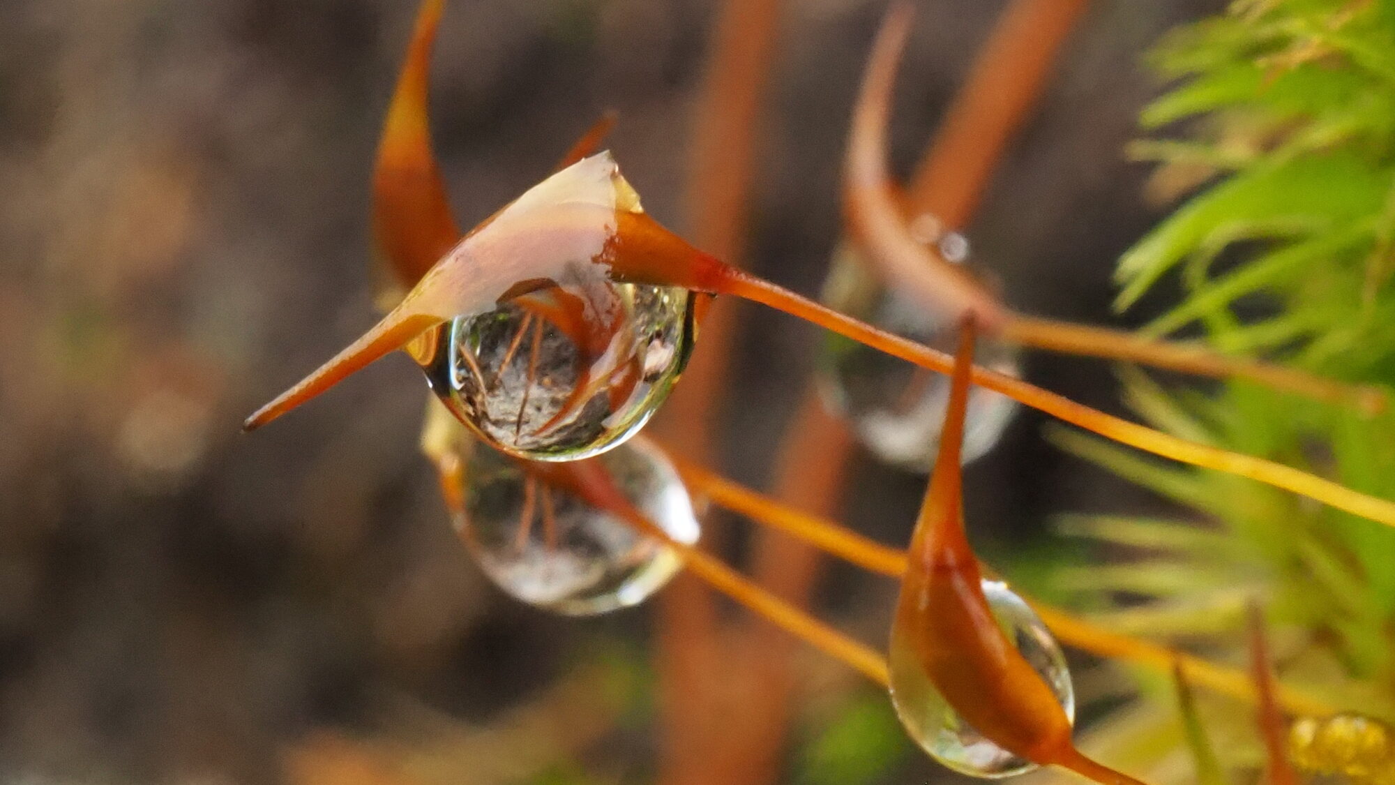 Valokuvaaja: Martti Valtonen