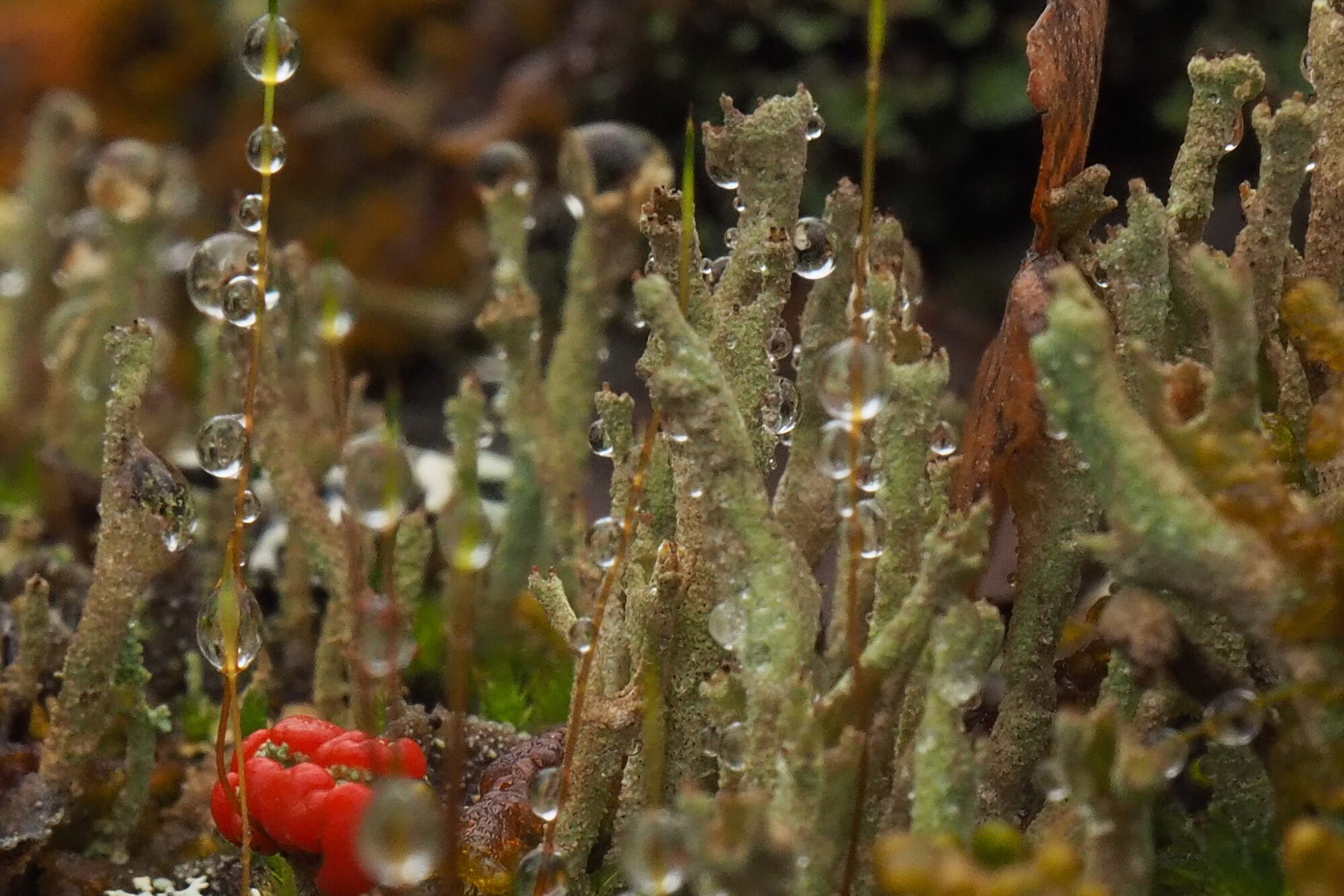 Valokuvaaja: Martti Valtonen