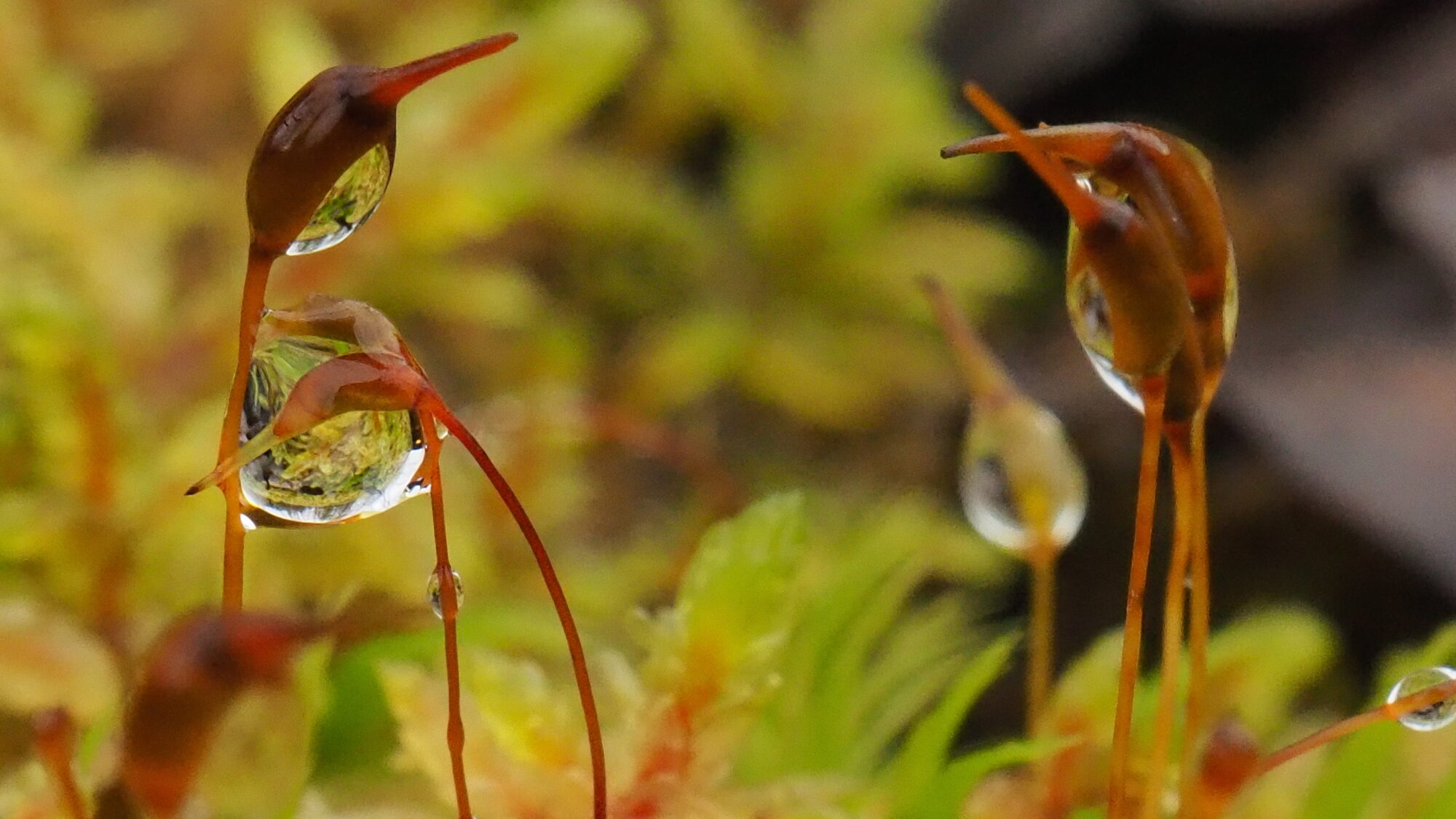 Valokuvaaja: Martti Valtonen