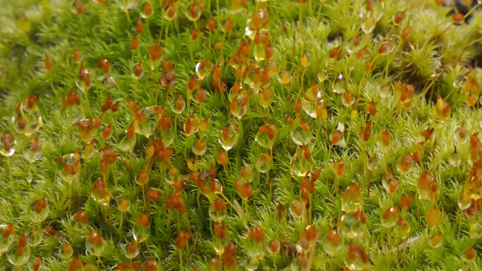 Valokuvaaja: Martti Valtonen