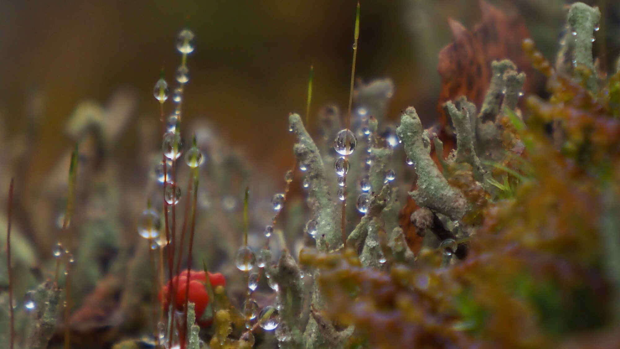 Valokuvaaja: Arja Valtonen