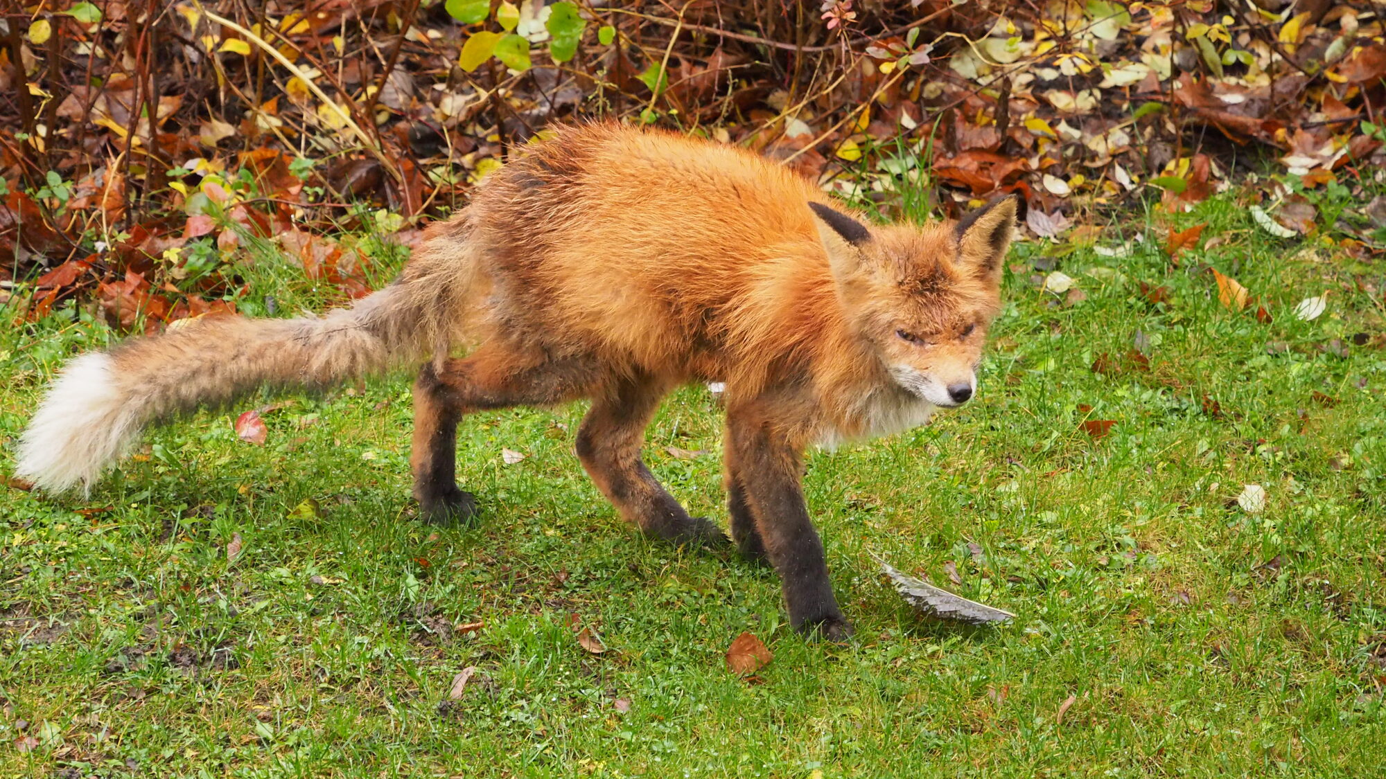Valokuvaaja: Martti Valtonen