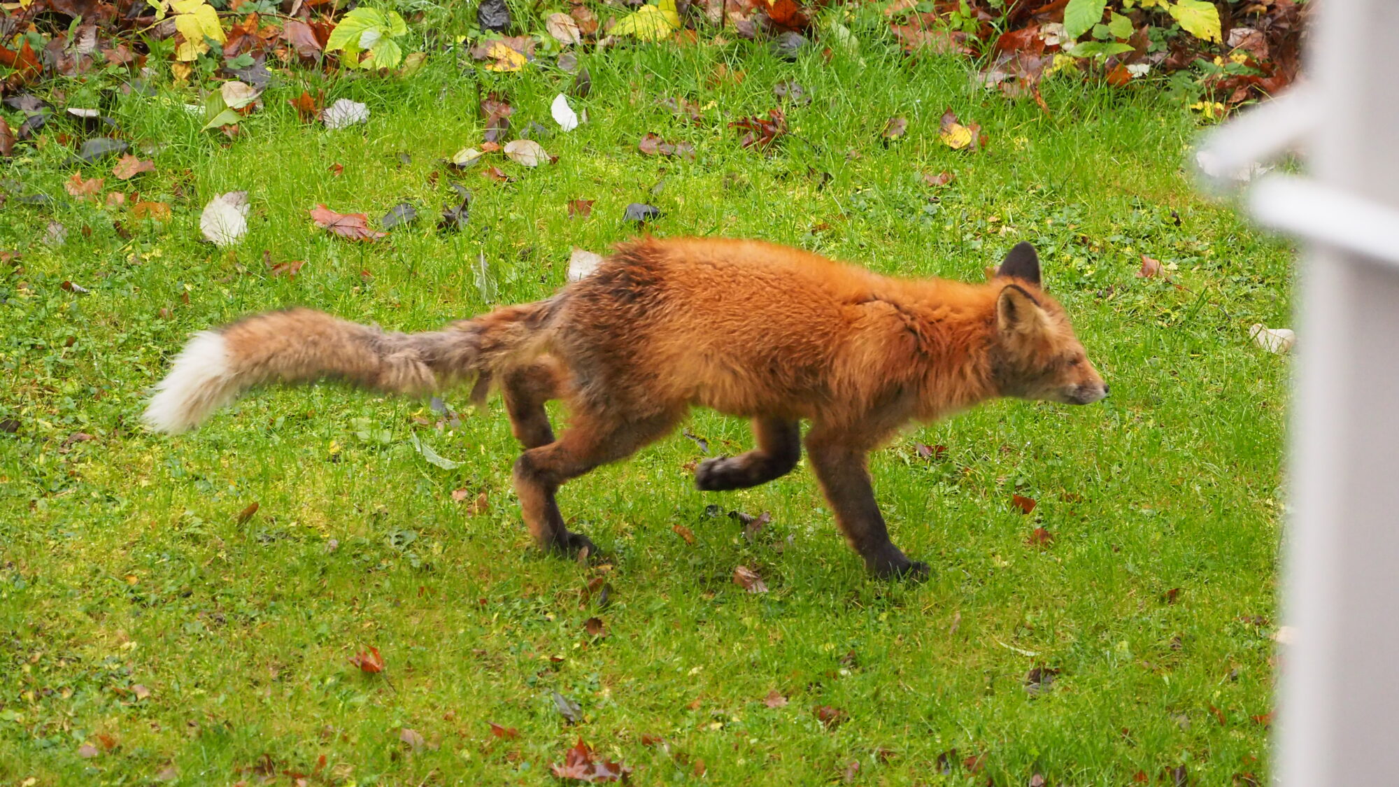Valokuvaaja: Martti Valtonen