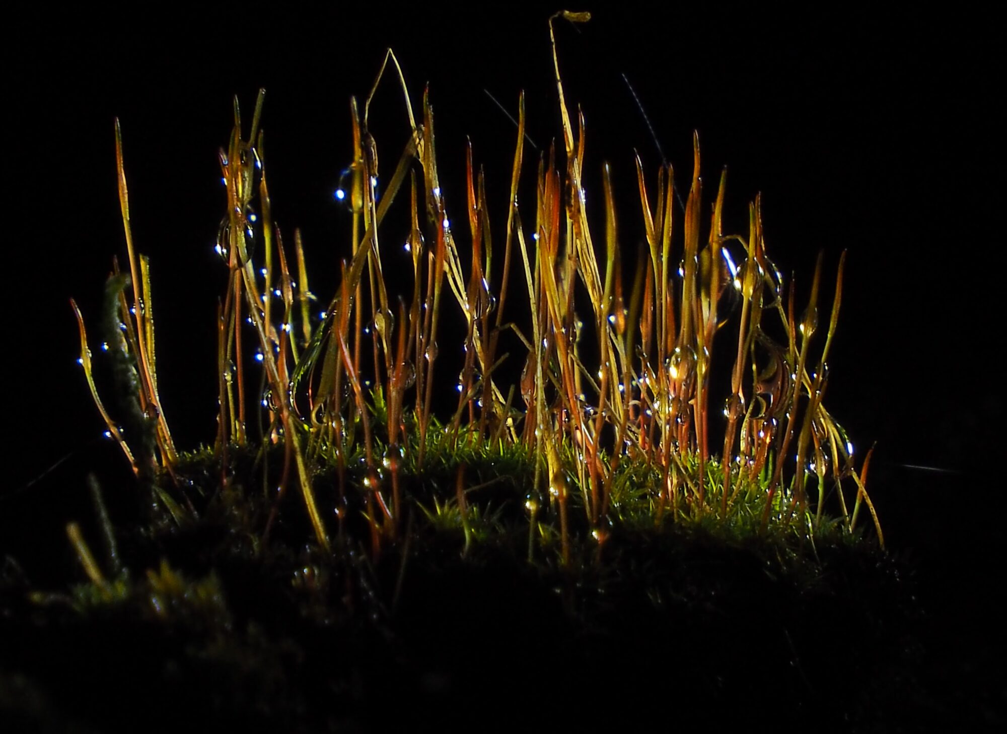 Valokuvaaja: Martti Valtonen