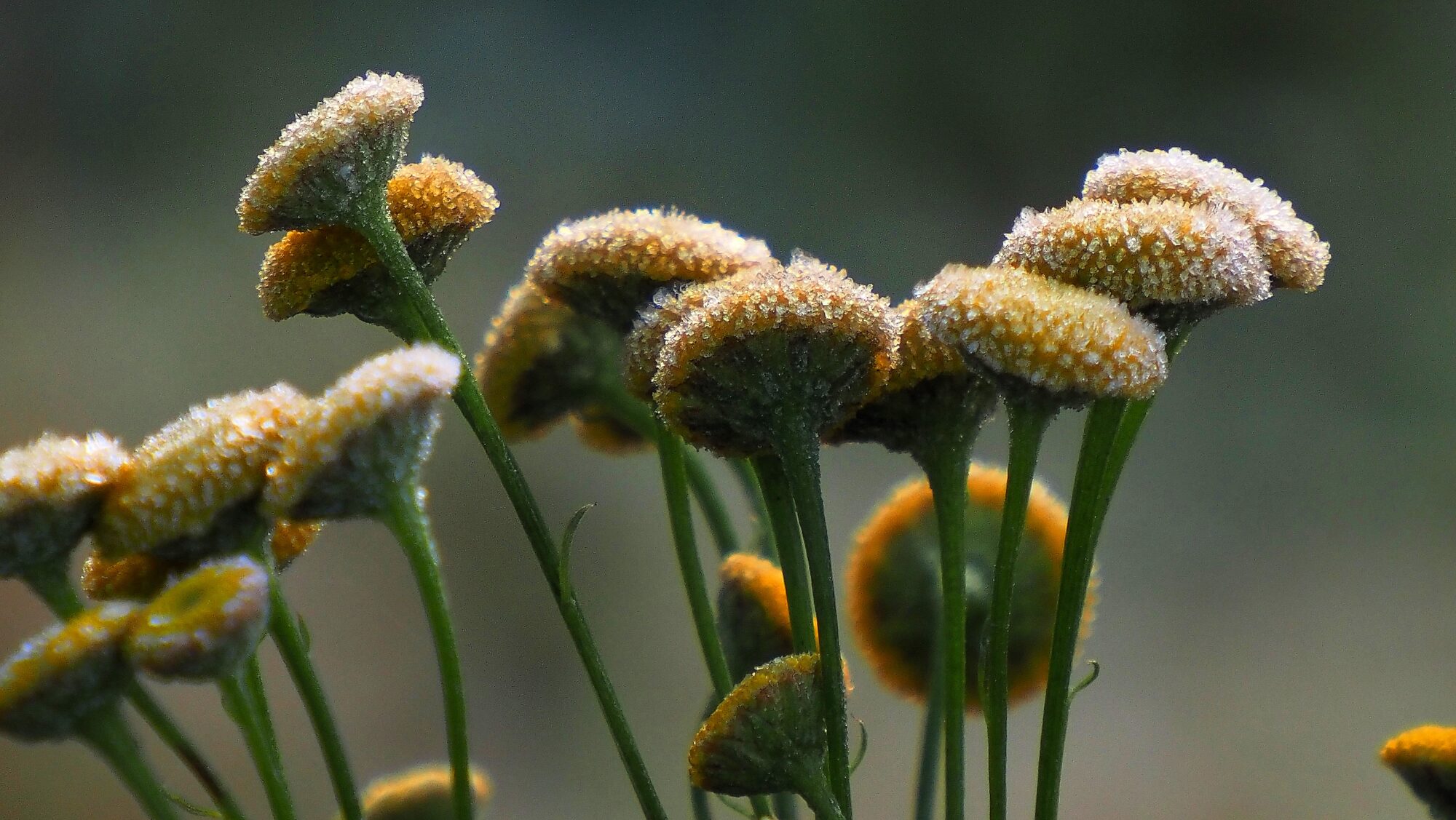 Valokuvaaja: Arja Valtonen