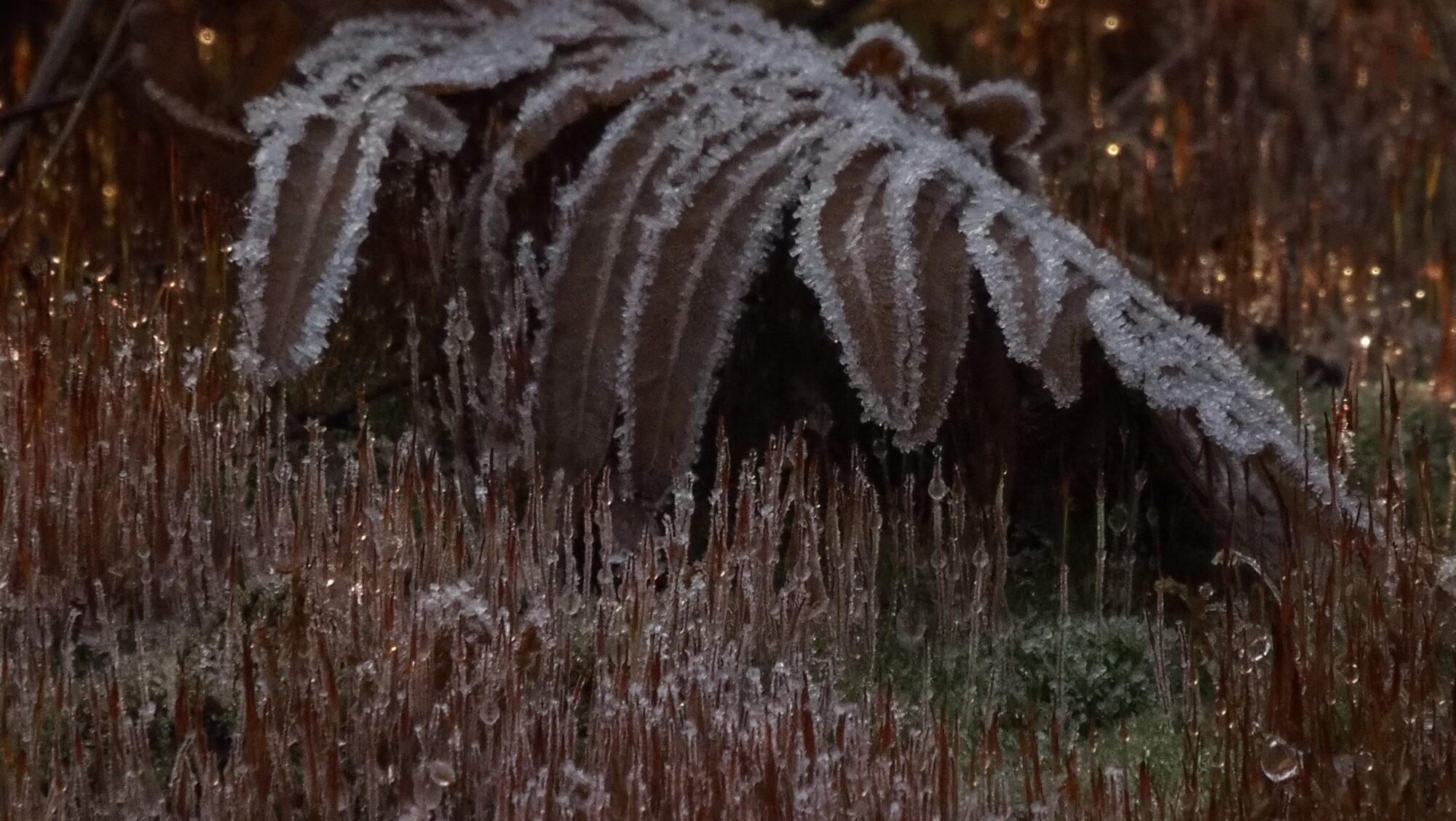 Valokuvaaja: Arja Valtonen