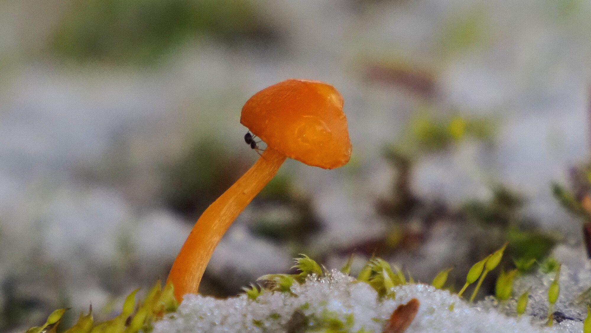 Valokuvaaja: Arja Valtonen