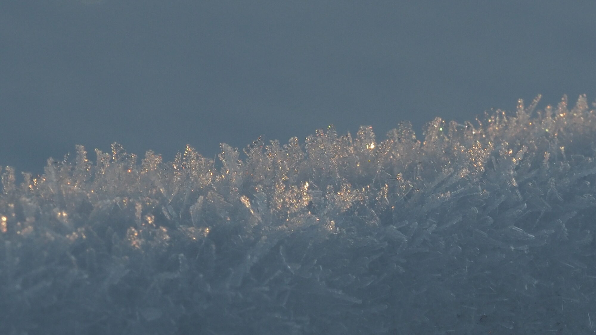 Valokuvaaja: Arja Valtonen