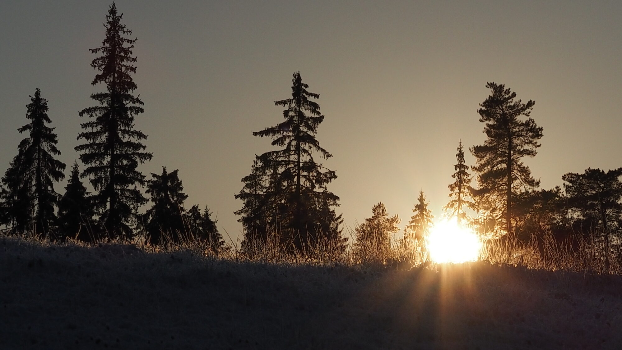 Valokuvaaja: Arja Valtonen