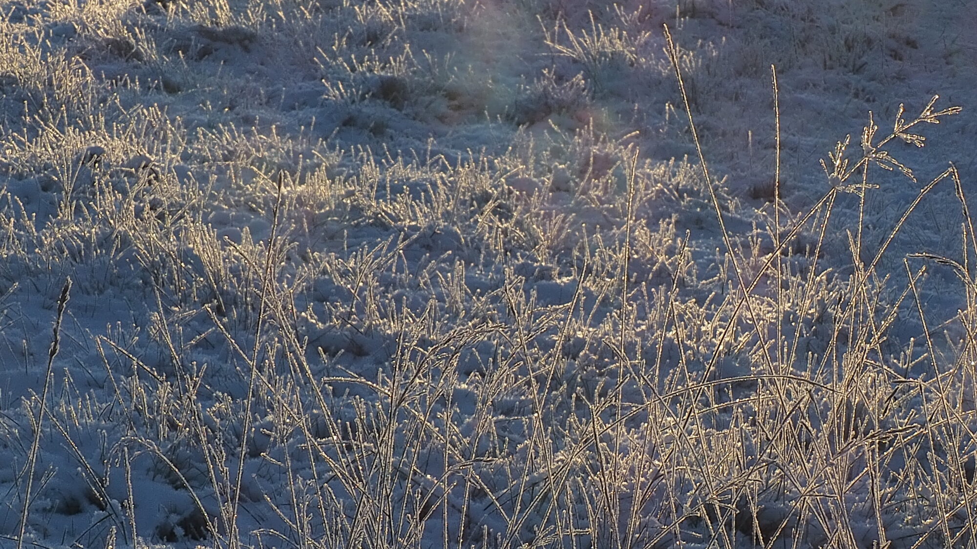 Valokuvaaja: Martti Valtonen
