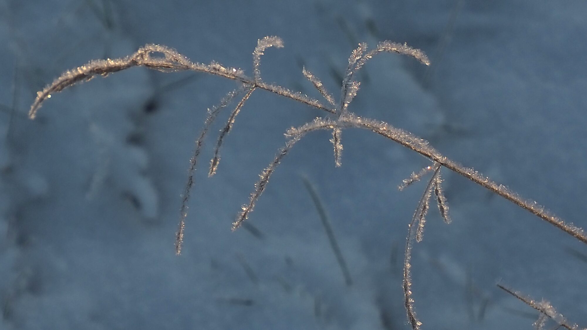 Valokuvaaja: Martti Valtonen