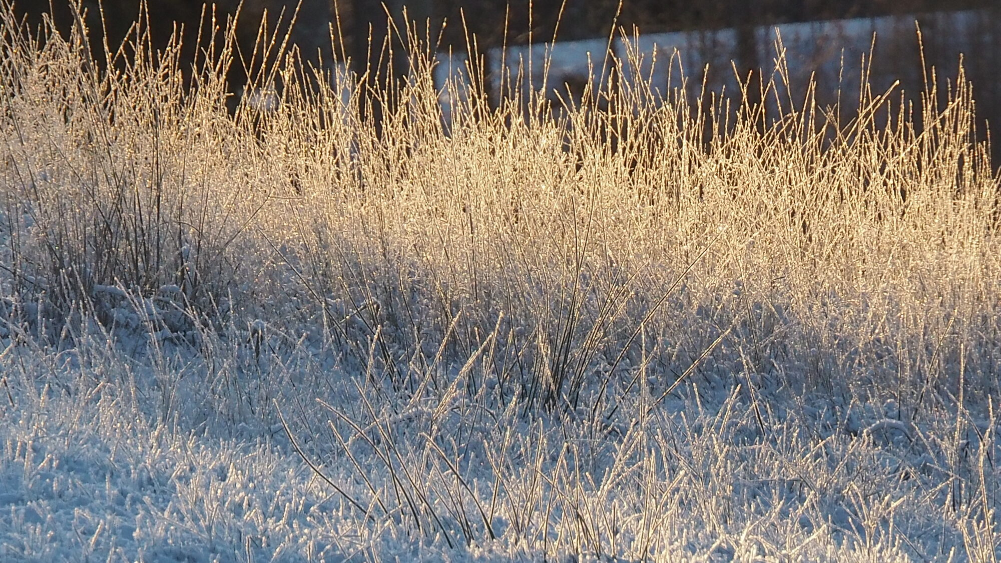 Valokuvaaja: Martti Valtonen