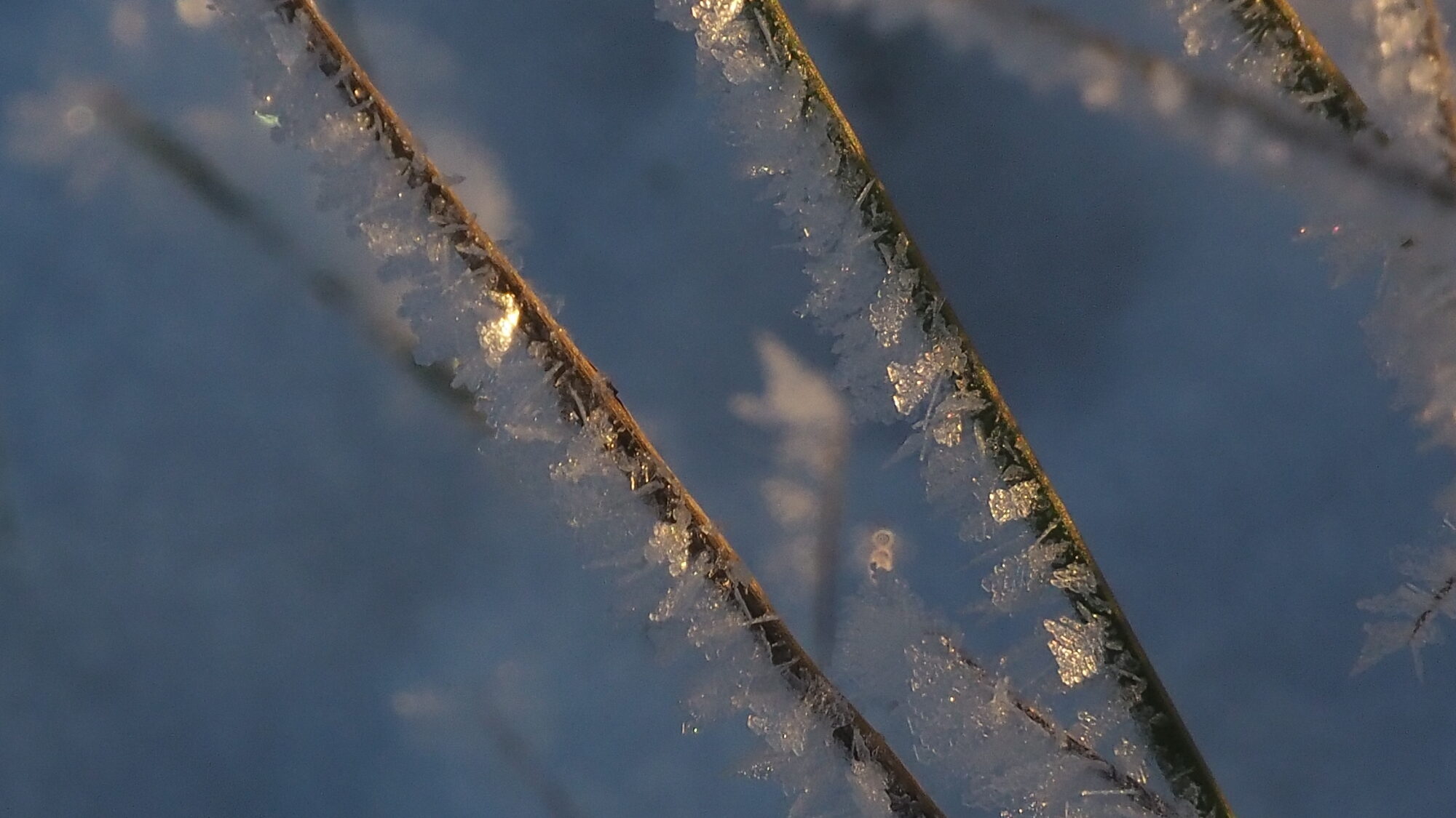 Valokuvaaja: Martti Valtonen