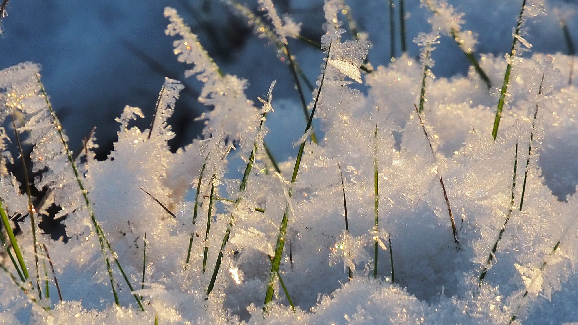 Valokuvaaja: Martti Valtonen