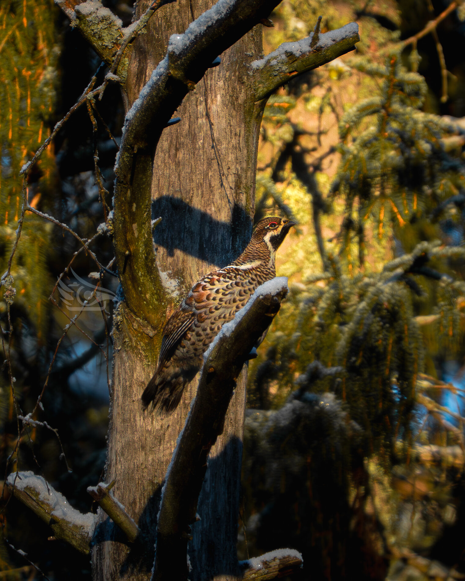 Valokuvaaja: Milla Rannila