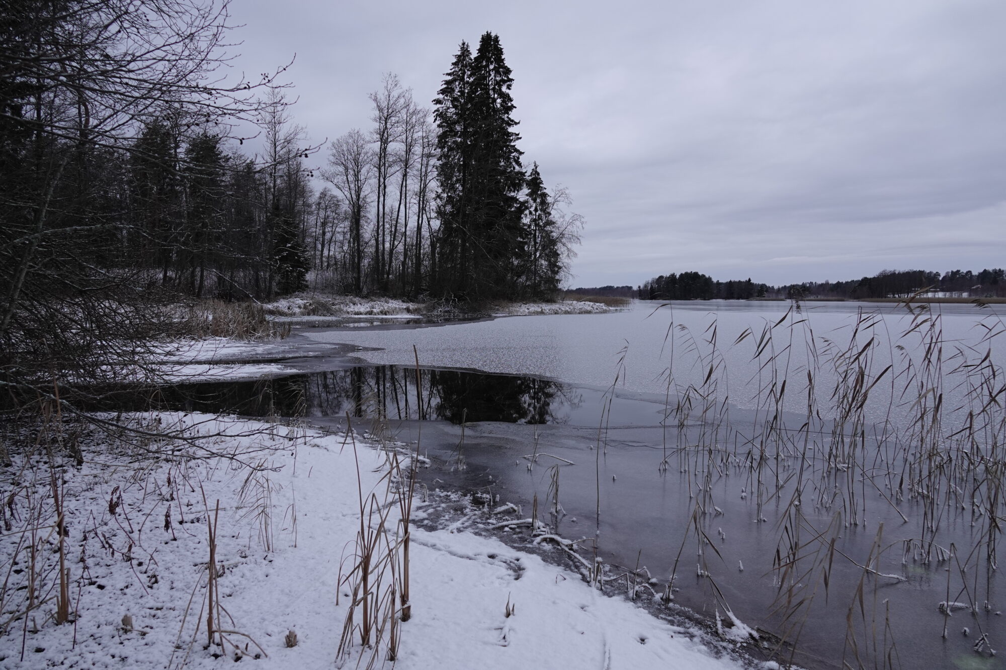 Valokuvaaja: Kaarina Heiskanen