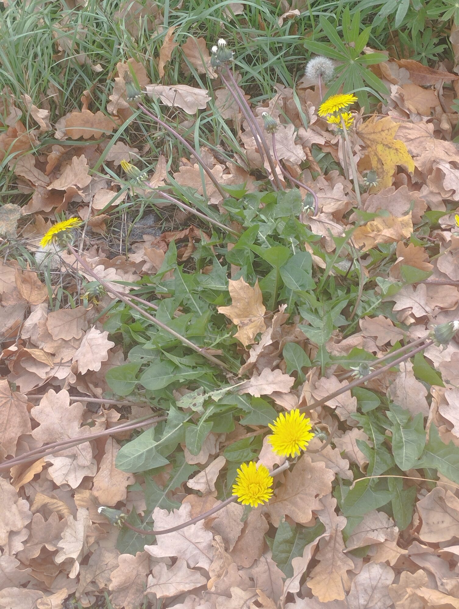 Valokuvaaja: Hannele Lehtinen