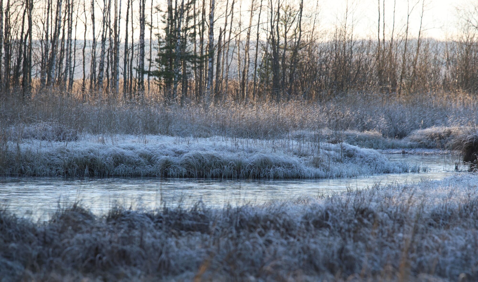Valokuvaaja: Jaana Saarelainen