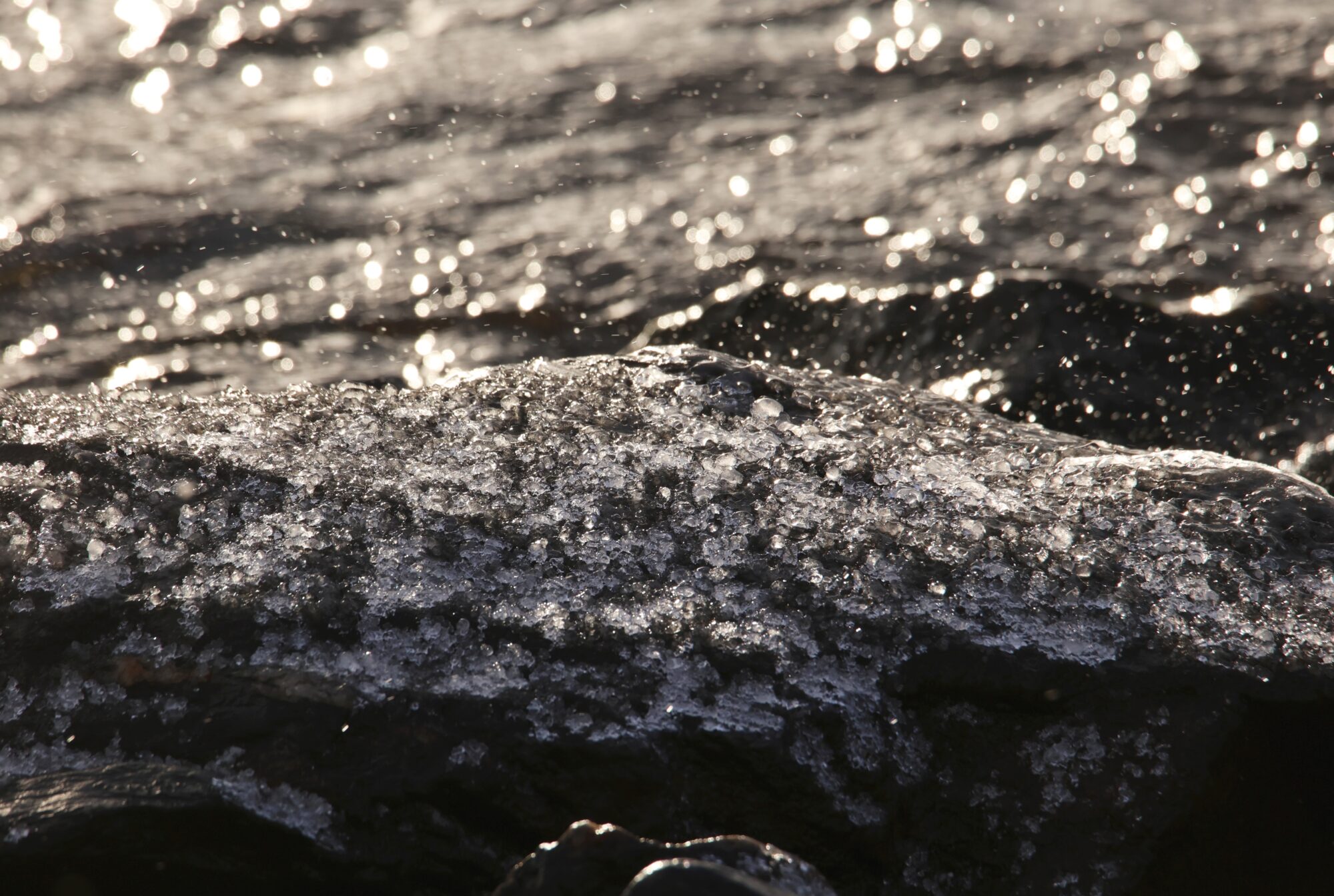 Valokuvaaja: Jaana Saarelainen