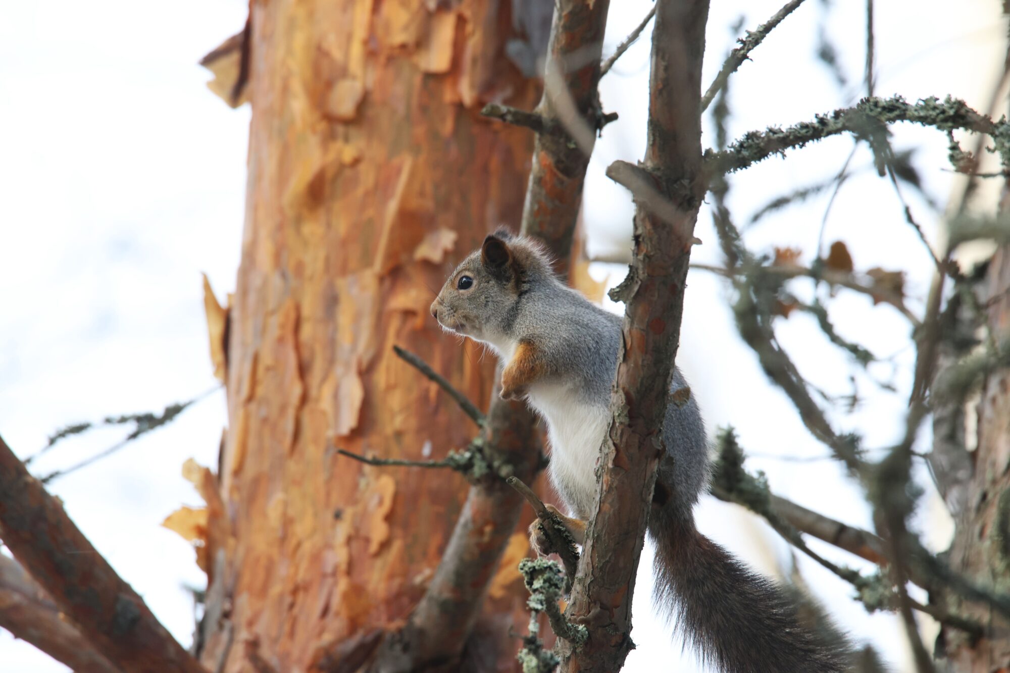 Valokuvaaja: Jaana Saarelainen