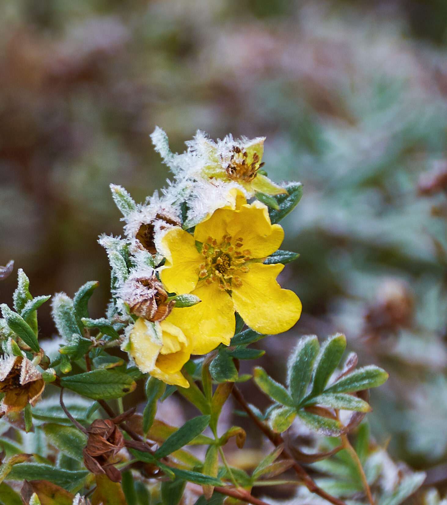 Valokuvaaja: Tarja Kouvo