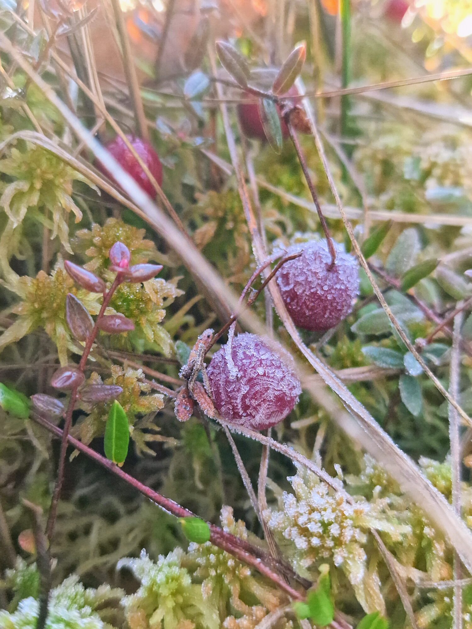 Valokuvaaja: Eeva Keith