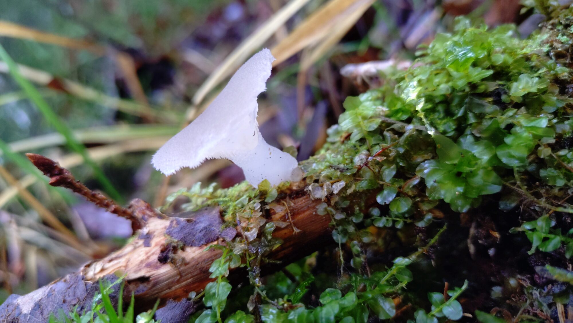 Valokuvaaja: Silja Häärä