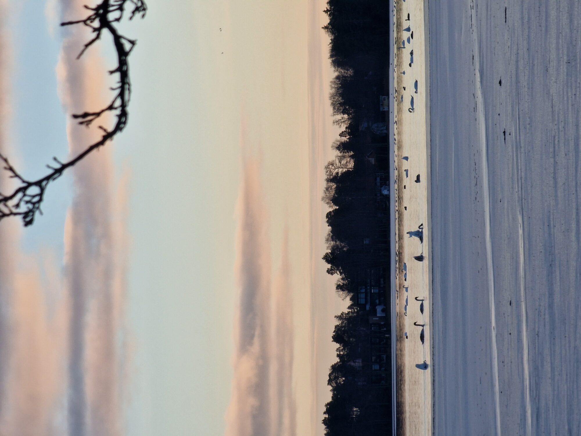 Valokuvaaja: Eeva Keith