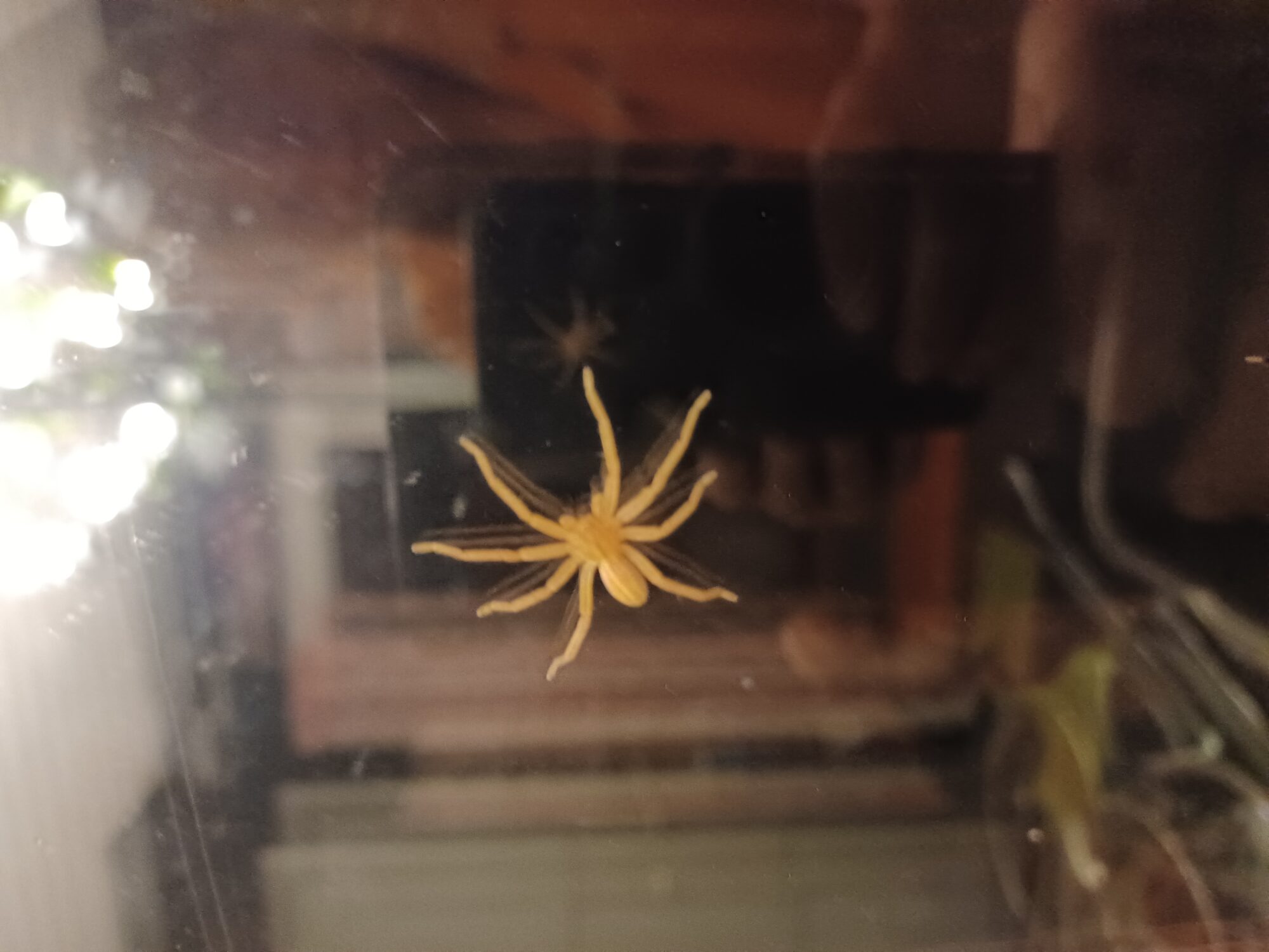 Valokuvaaja: Katri Hakola