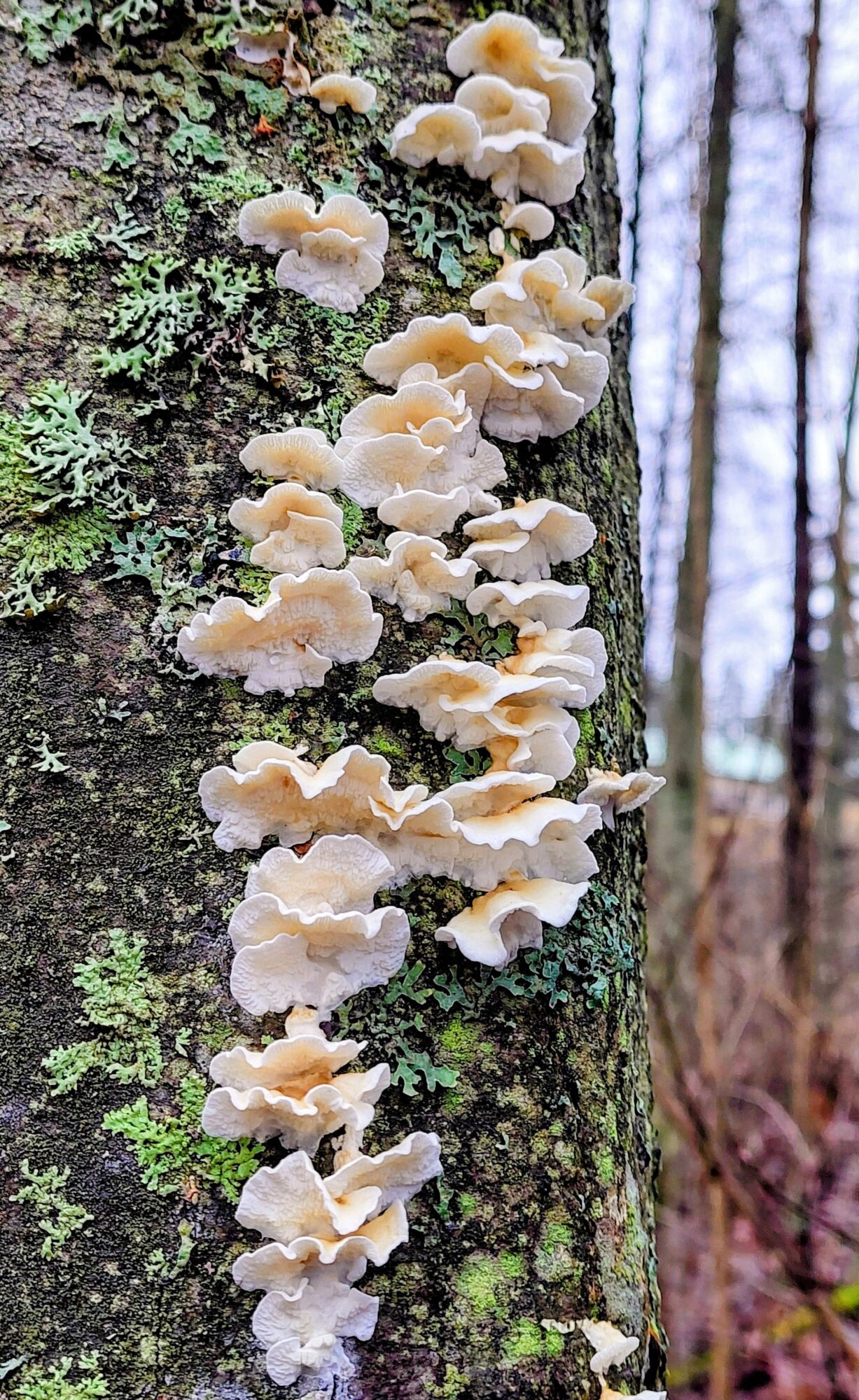 Valokuvaaja: Tarja Naukkarinen