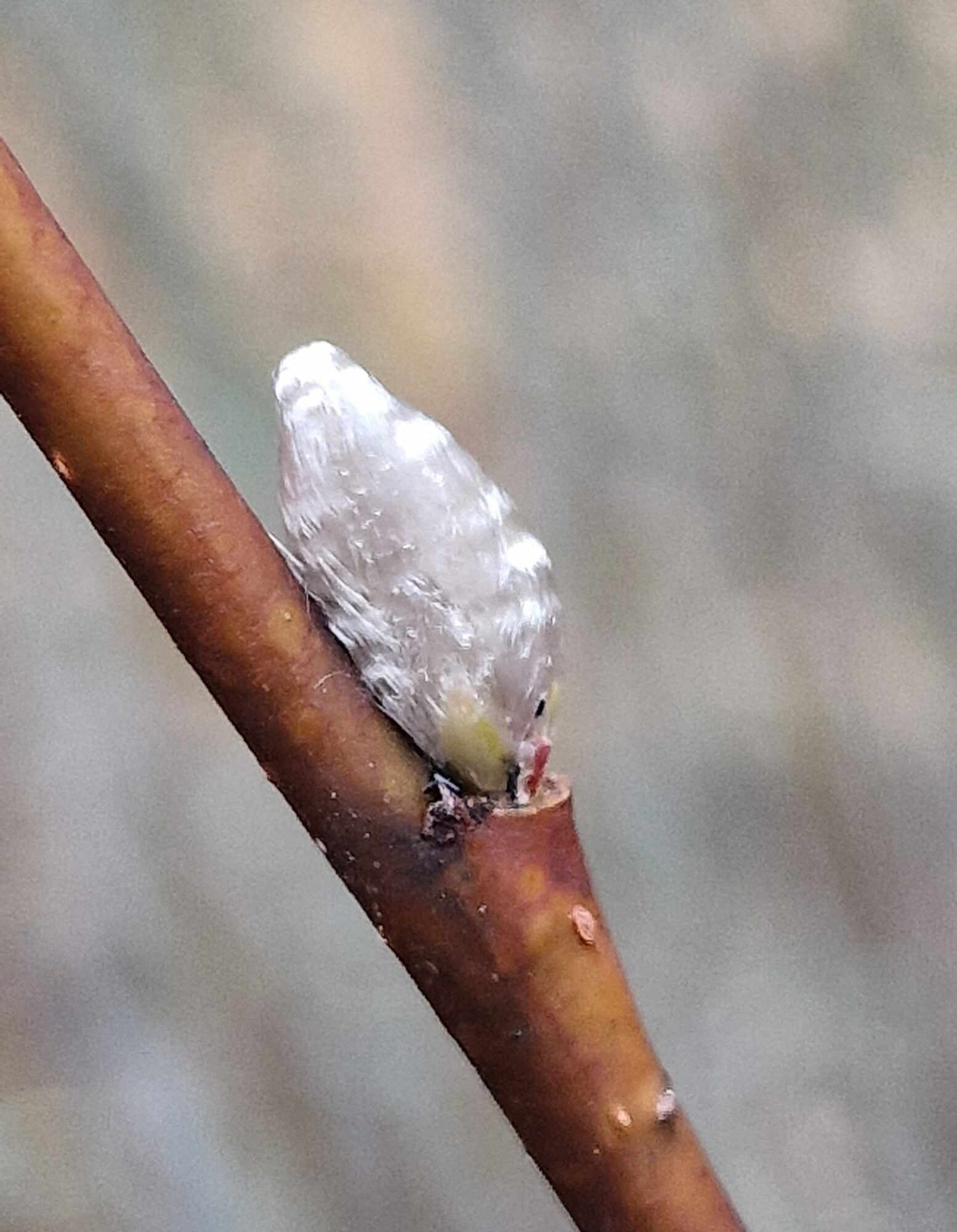 Valokuvaaja: Hanna Rönty