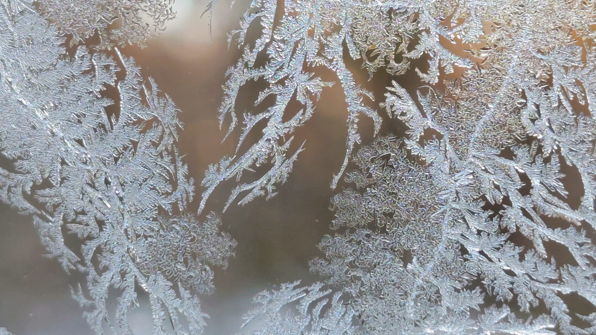 Valokuvaaja: Tarja Naukkarinen