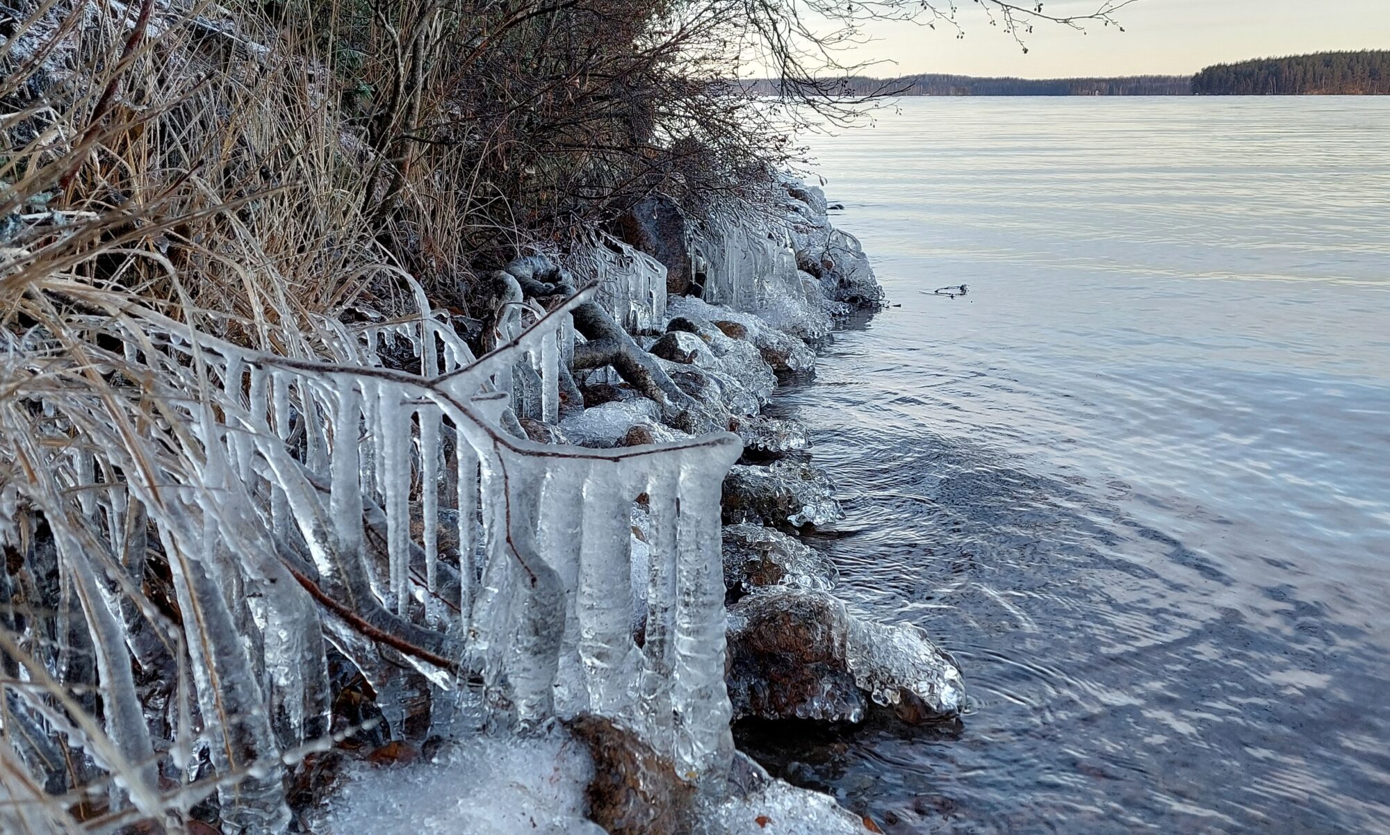 Valokuvaaja: Tarja Naukkarinen