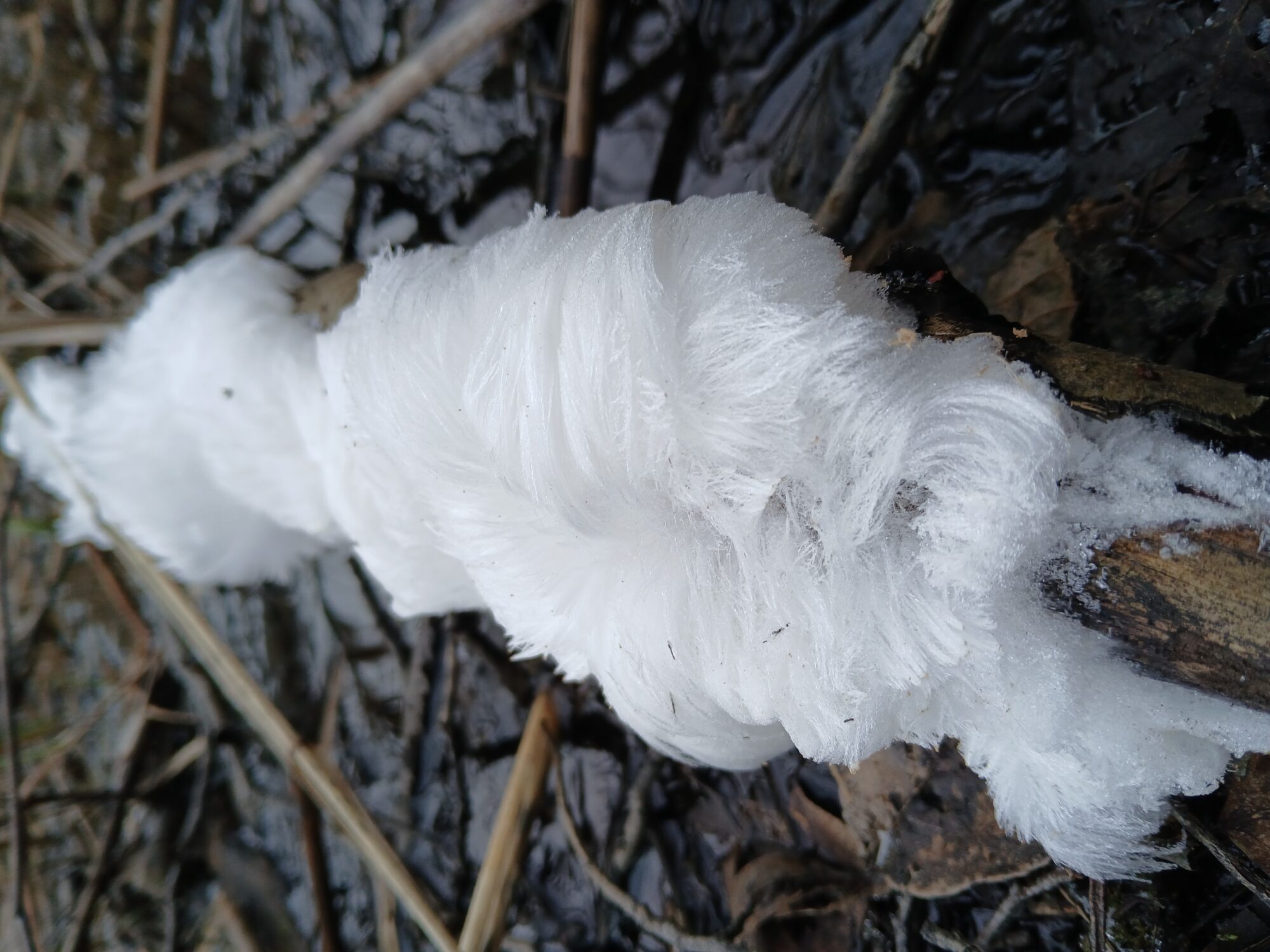Valokuvaaja: Terhi Aalto