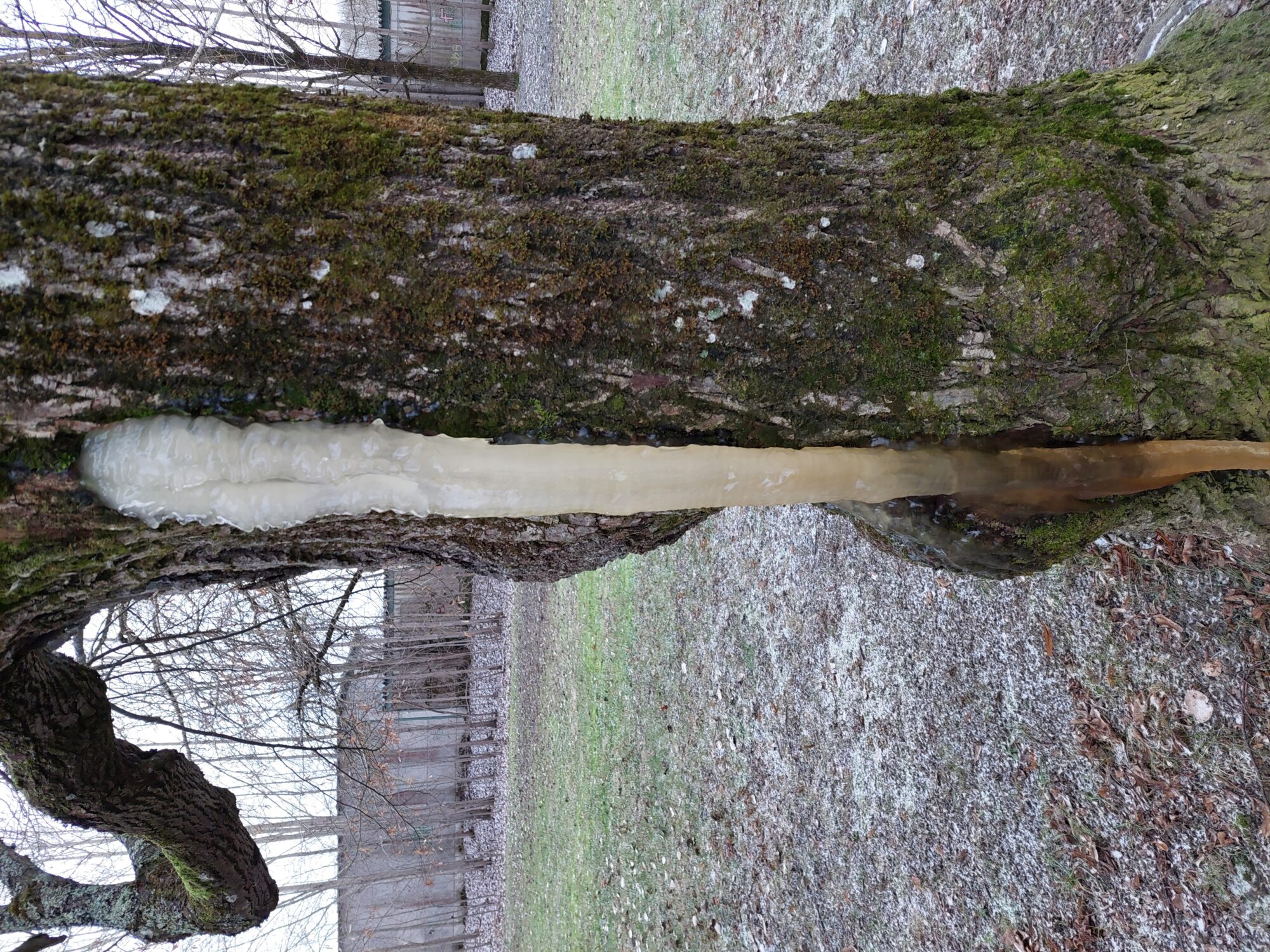 Valokuvaaja: Birgit Silvennoinen