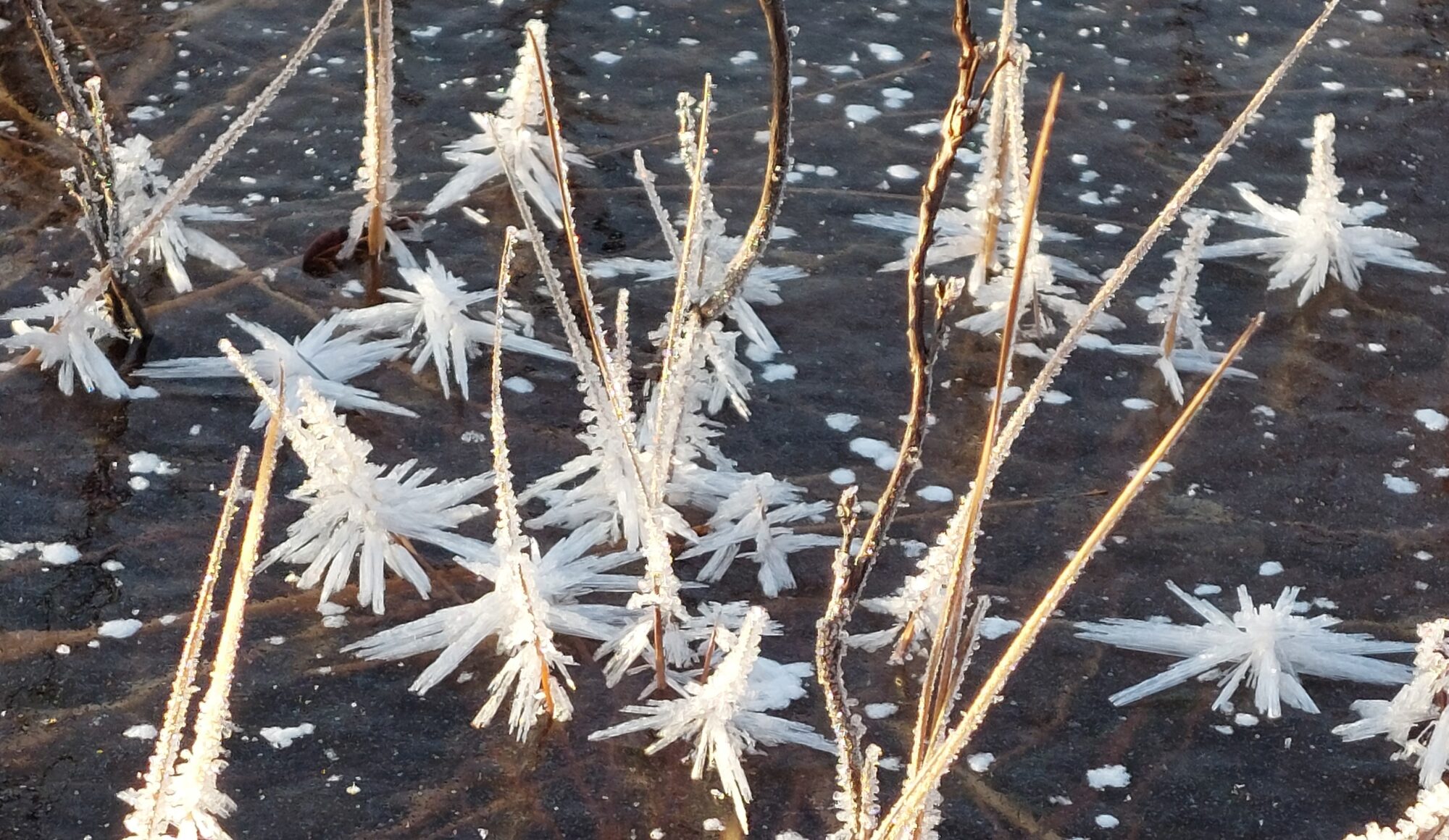 Valokuvaaja: Tarja Naukkarinen