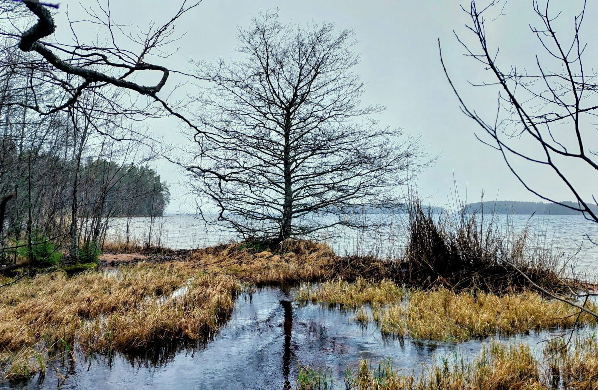 Valokuvaaja: Tarja Naukkarinen