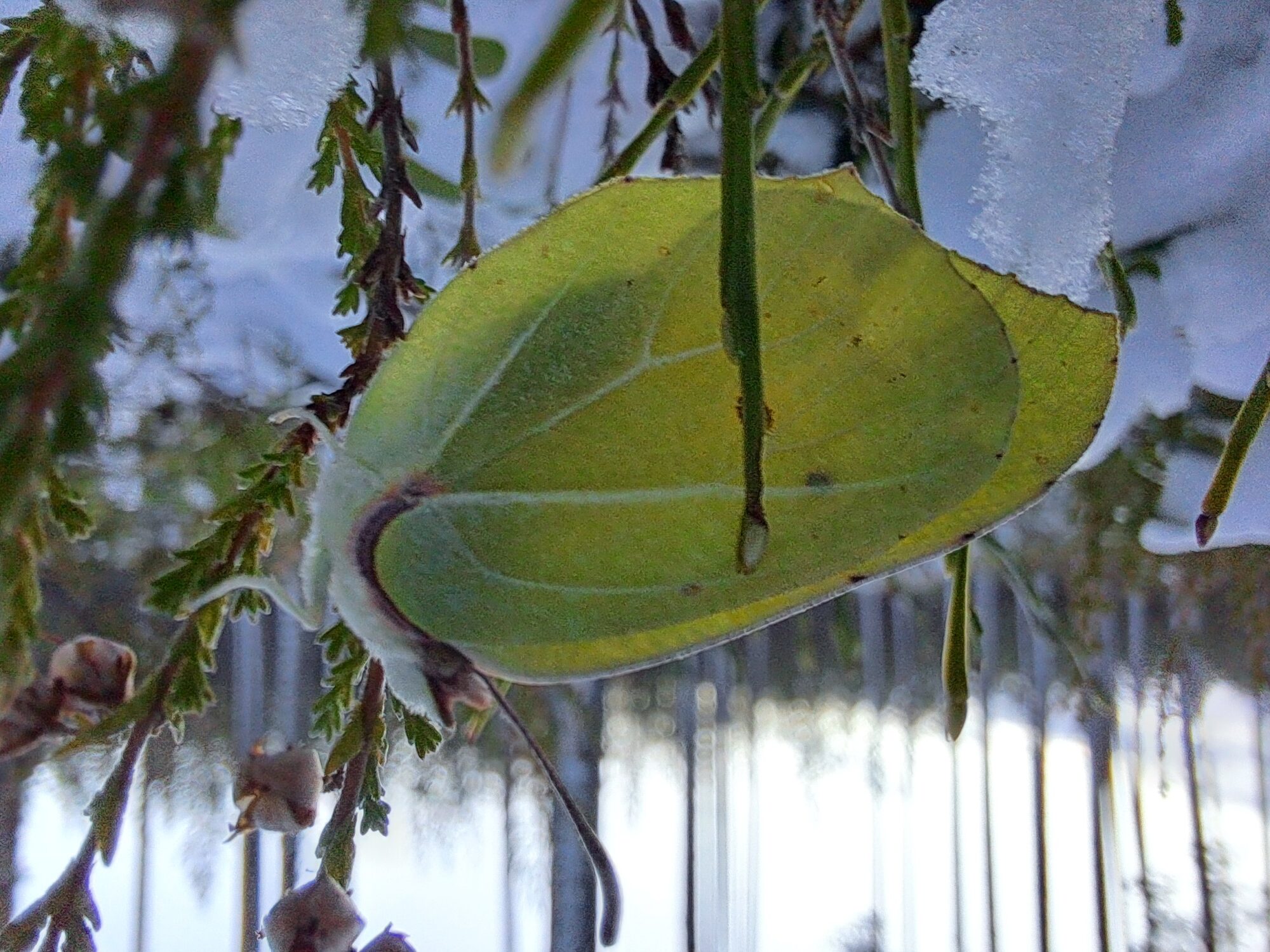 Valokuvaaja: Kaisa Marila