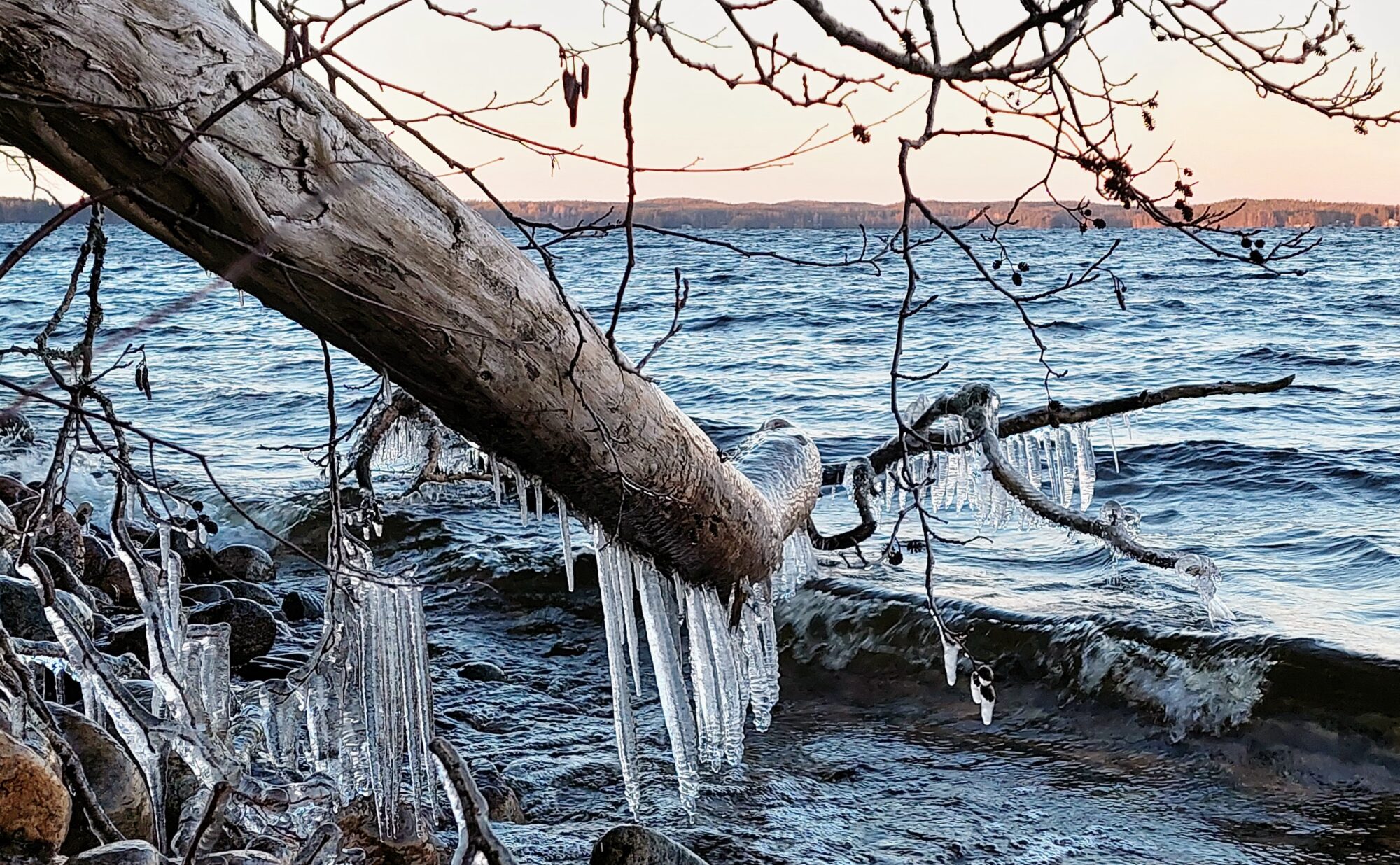 Valokuvaaja: Tarja Naukkarinen