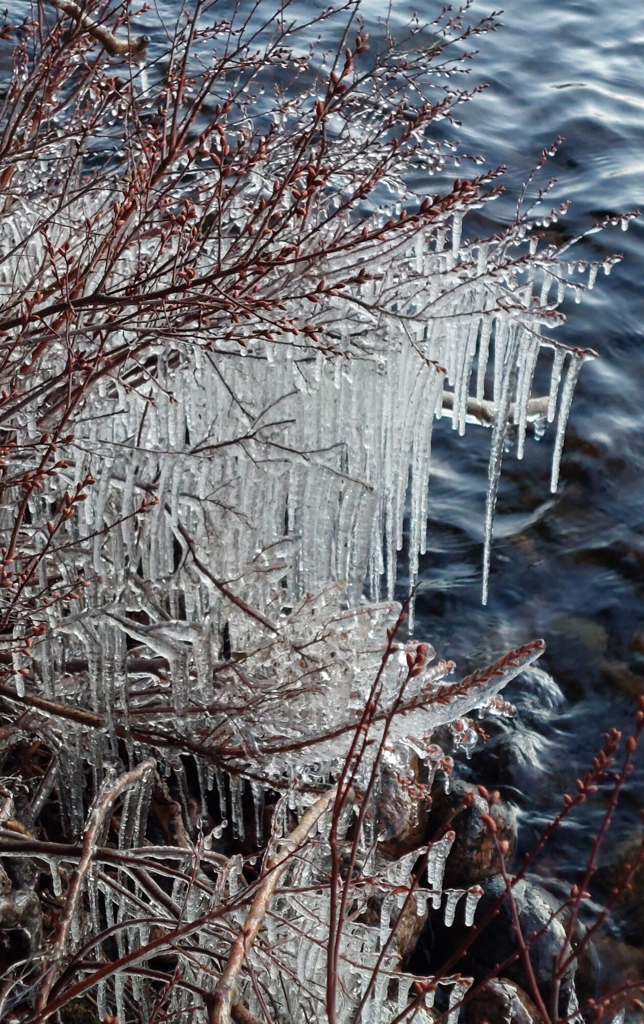 Valokuvaaja: Tarja Naukkarinen